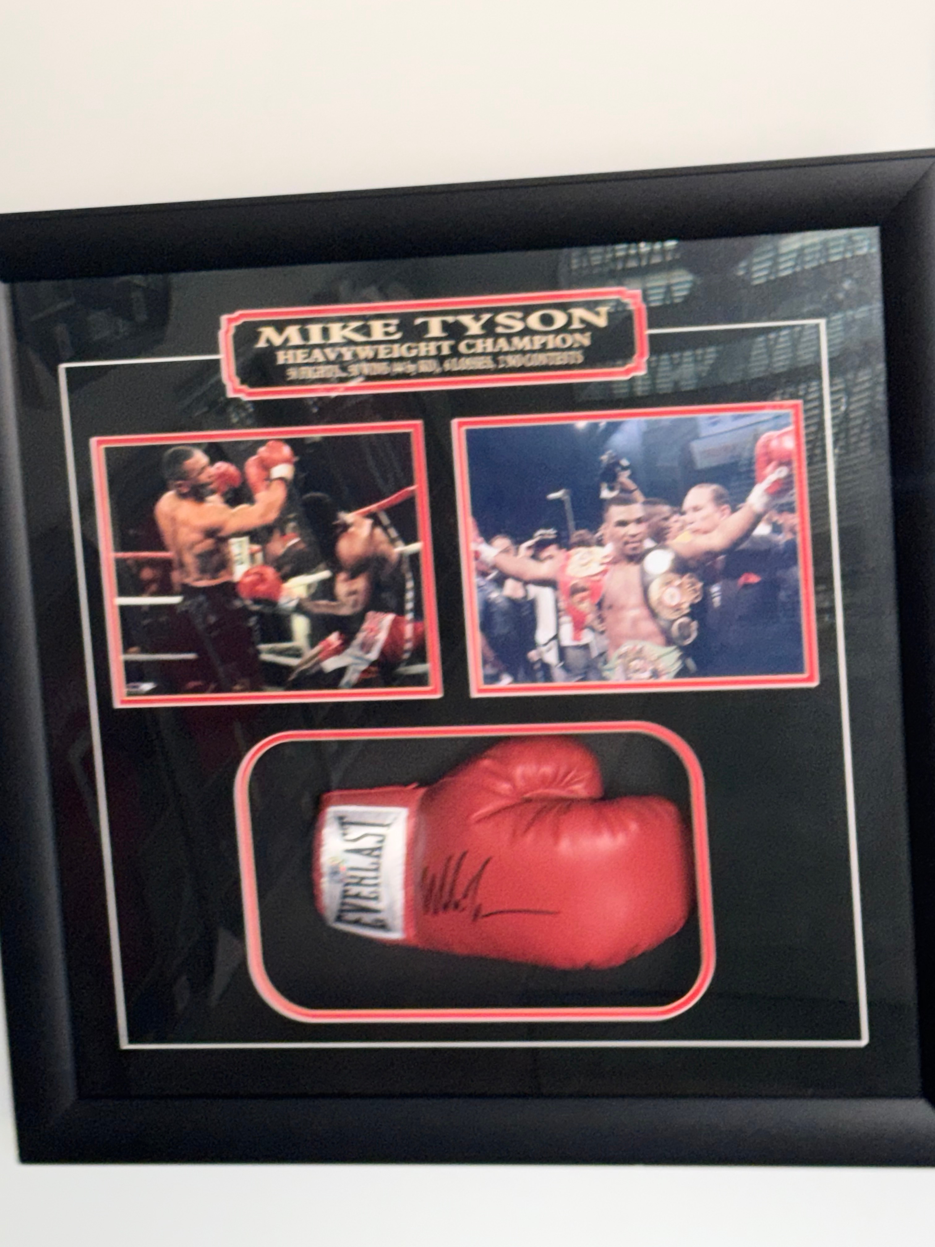 Mike Tyson Autographed, Authenticated Boxing Gloves