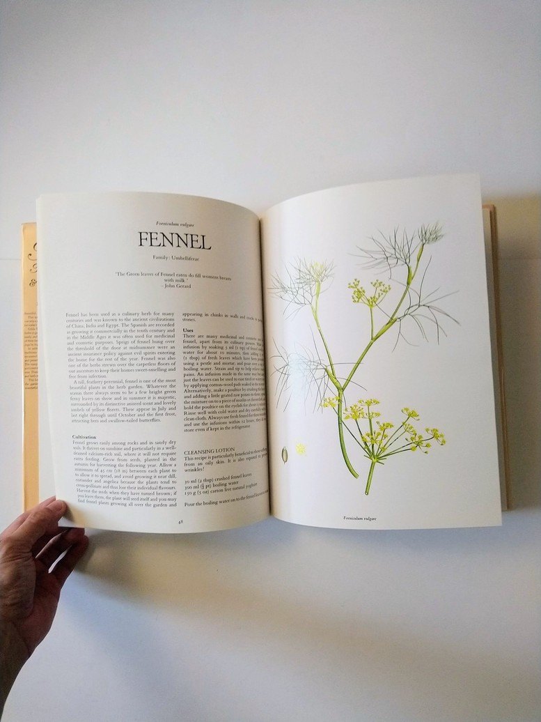 Herbs: International & Illustrated! - photo 4