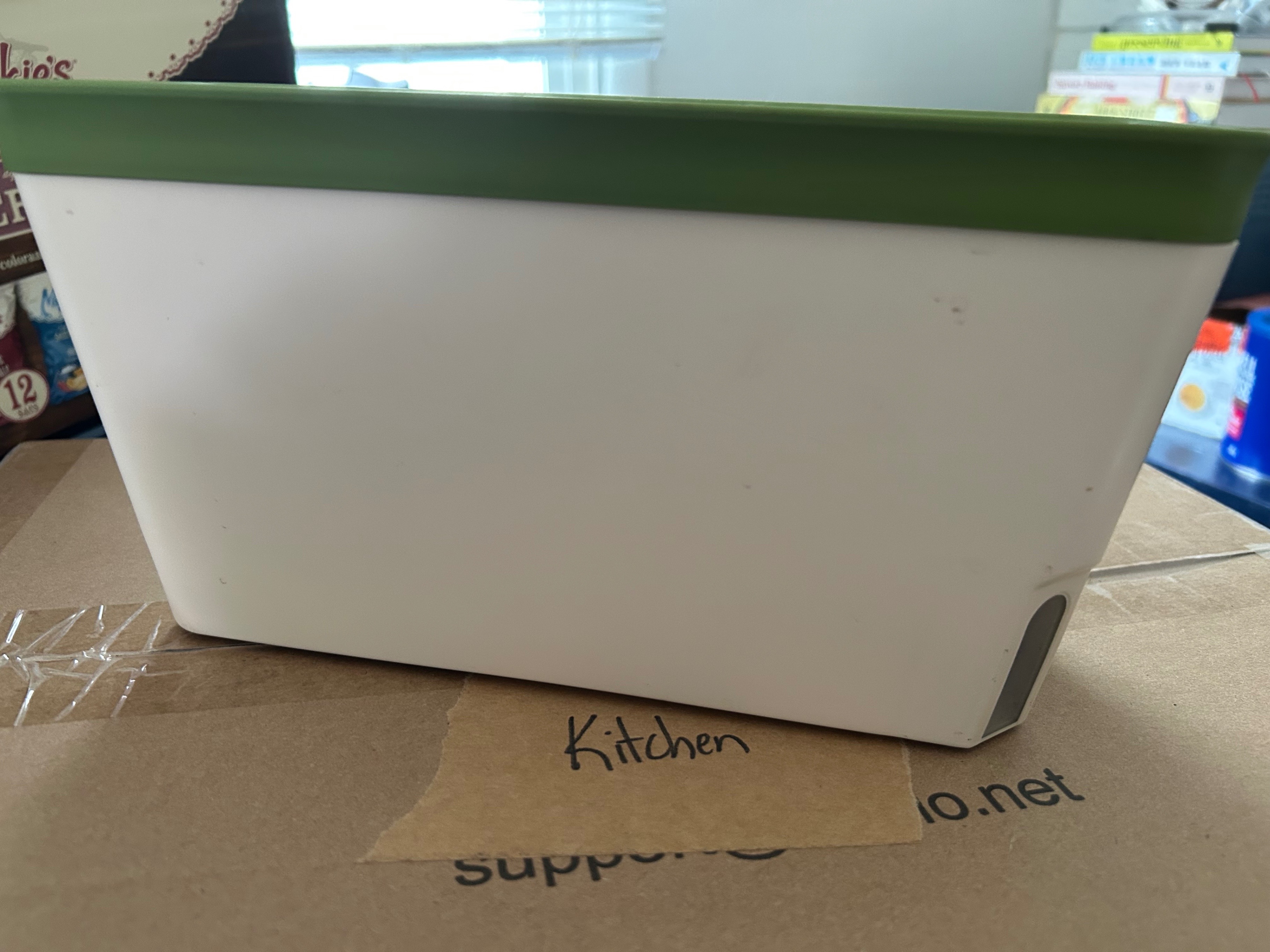 Self-Watering Green/White Planter