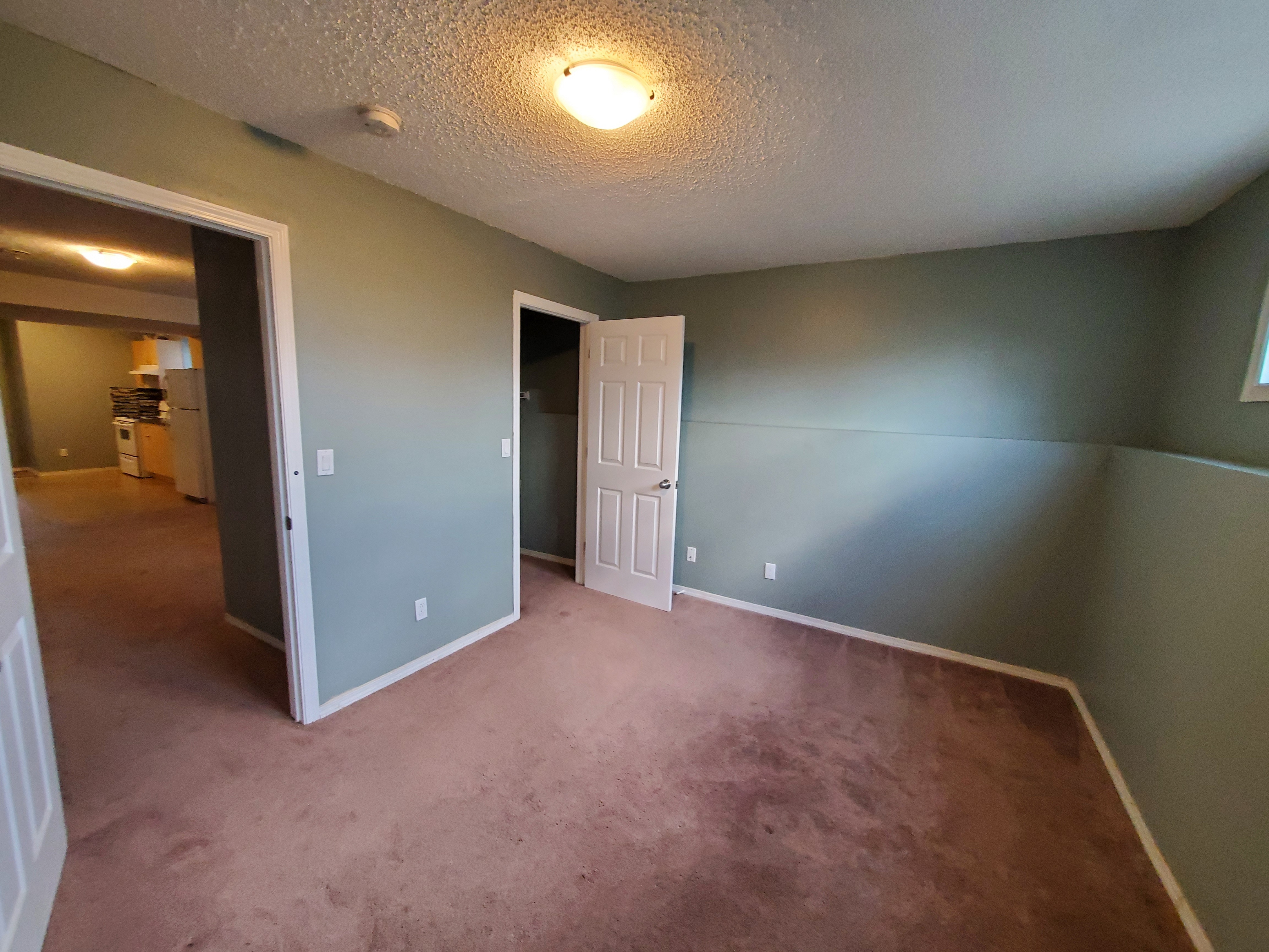 Spacious 3-Bedroom Basement for Rent - photo 3