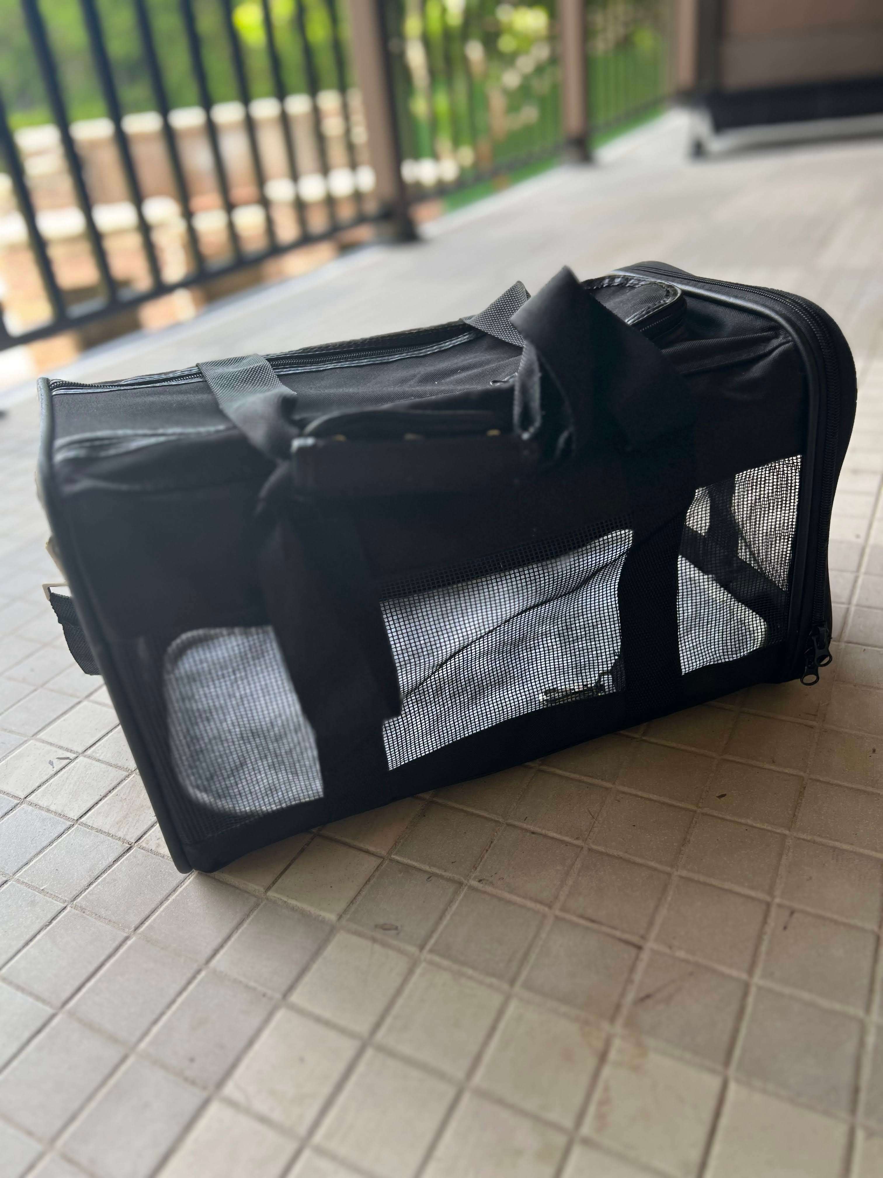 Pet Travel Carrier