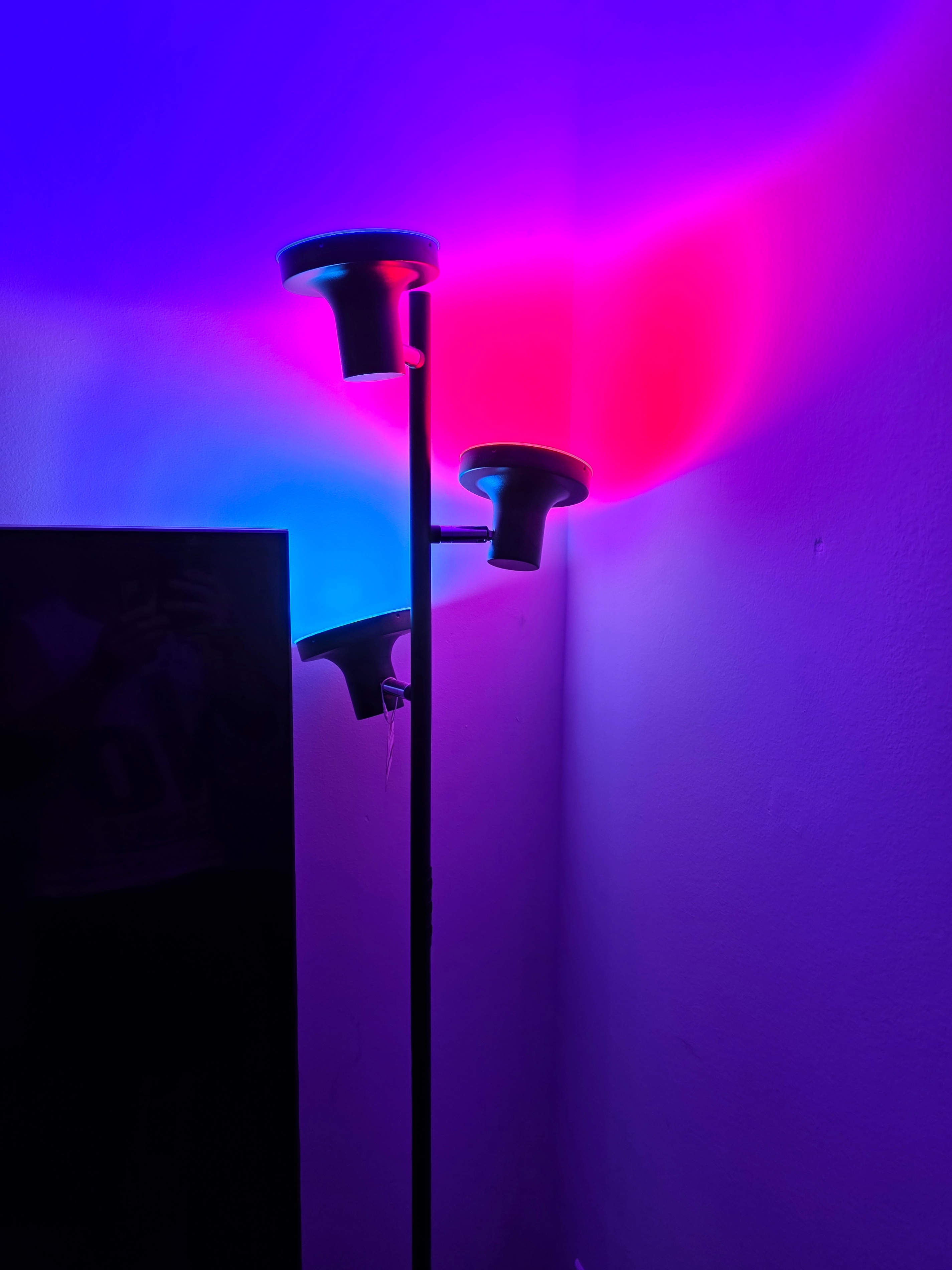 RGB Floor Lamp - photo 3