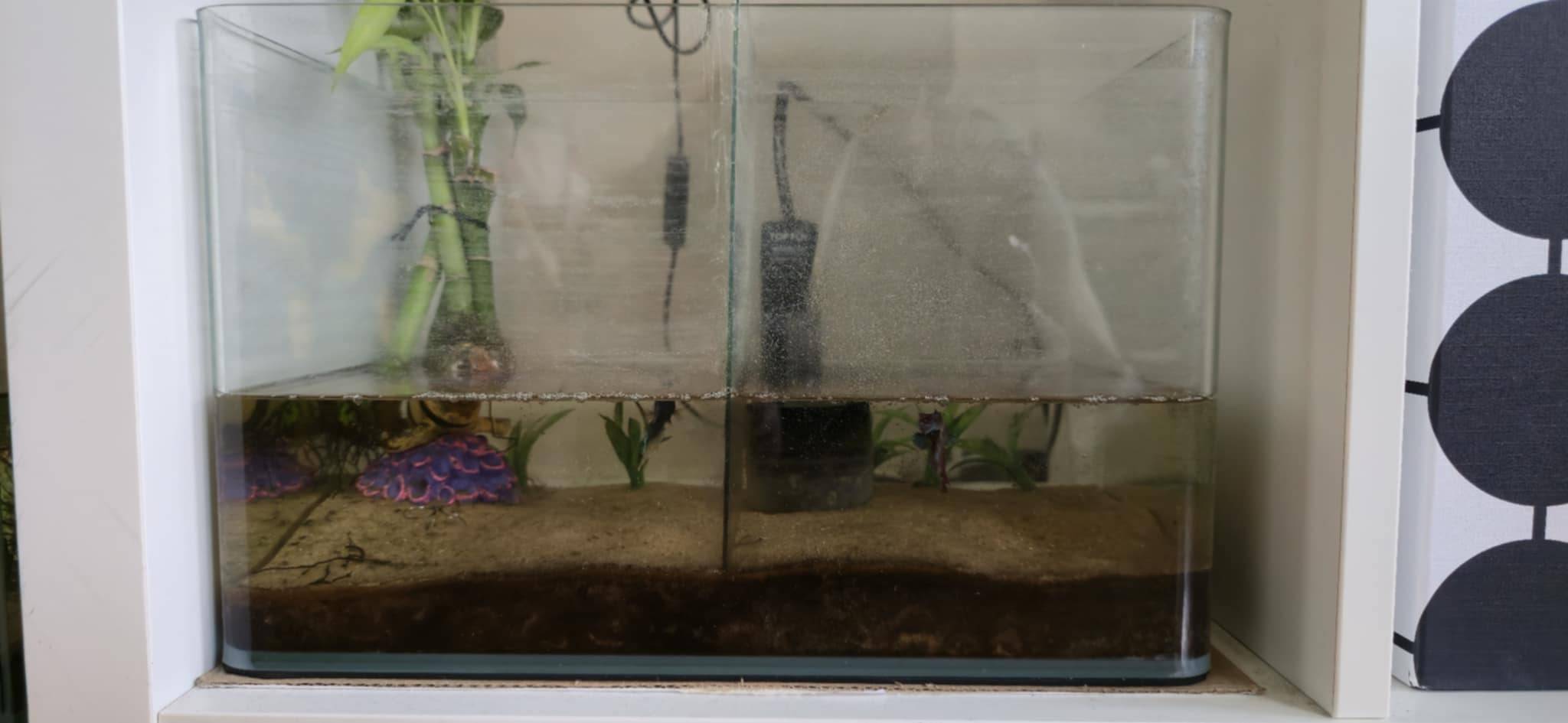 Complete Fish Aquarium Setup with Betta Fish - photo 4