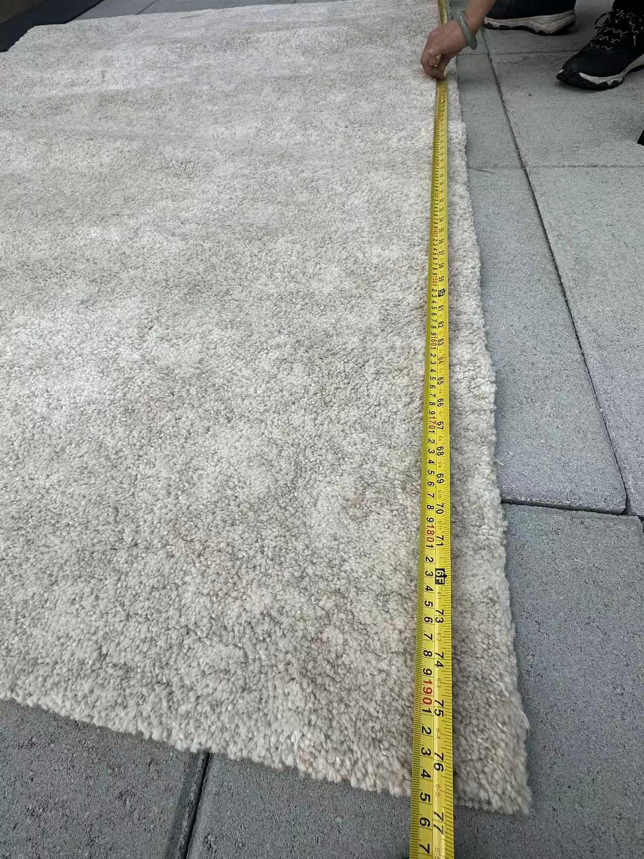 Like New Light Beige Carpet - photo 3