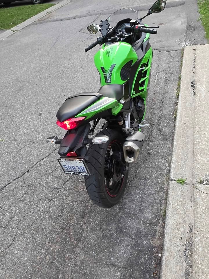Kawasaki Ninja 300 - photo 4