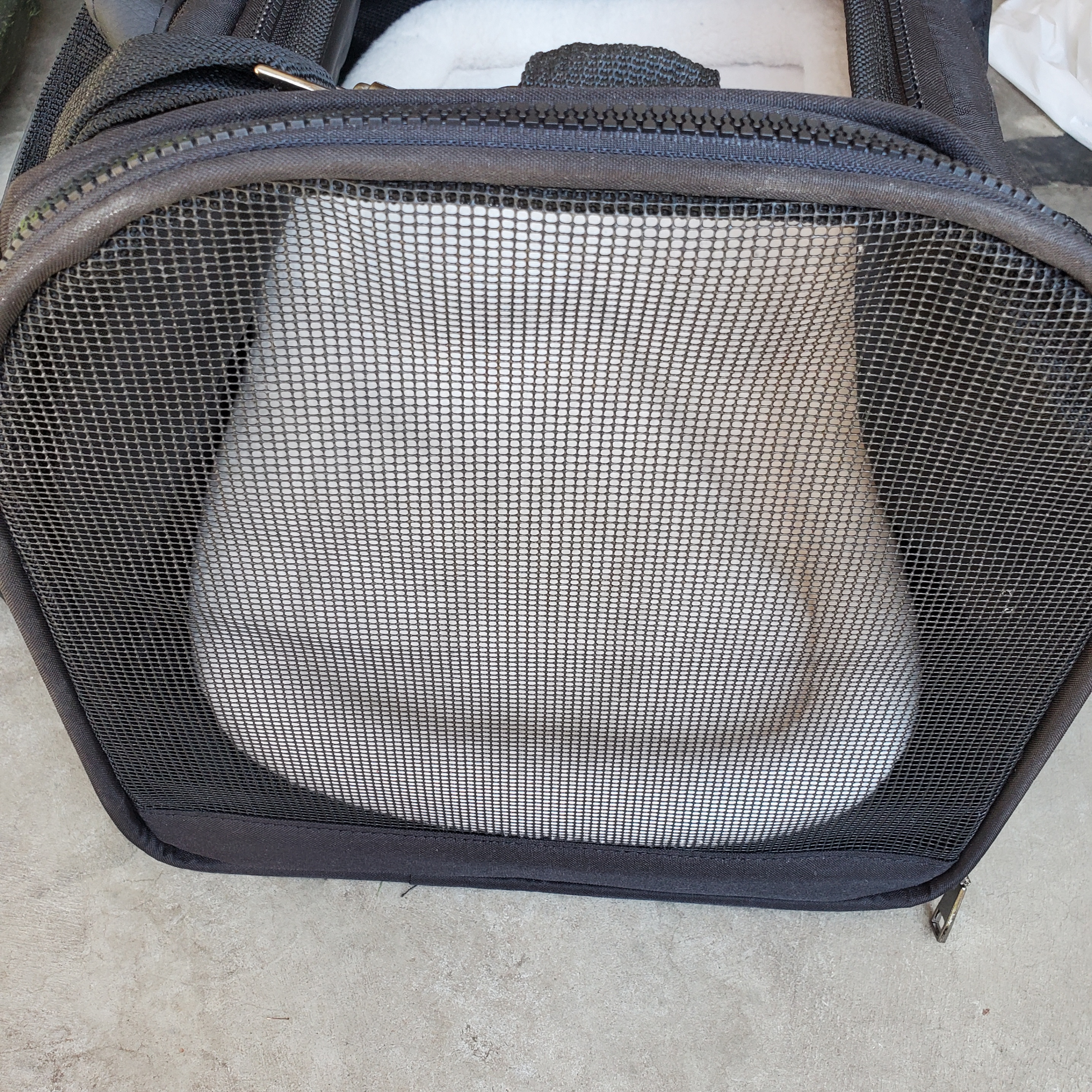 Small dog / pet carrier - photo 3