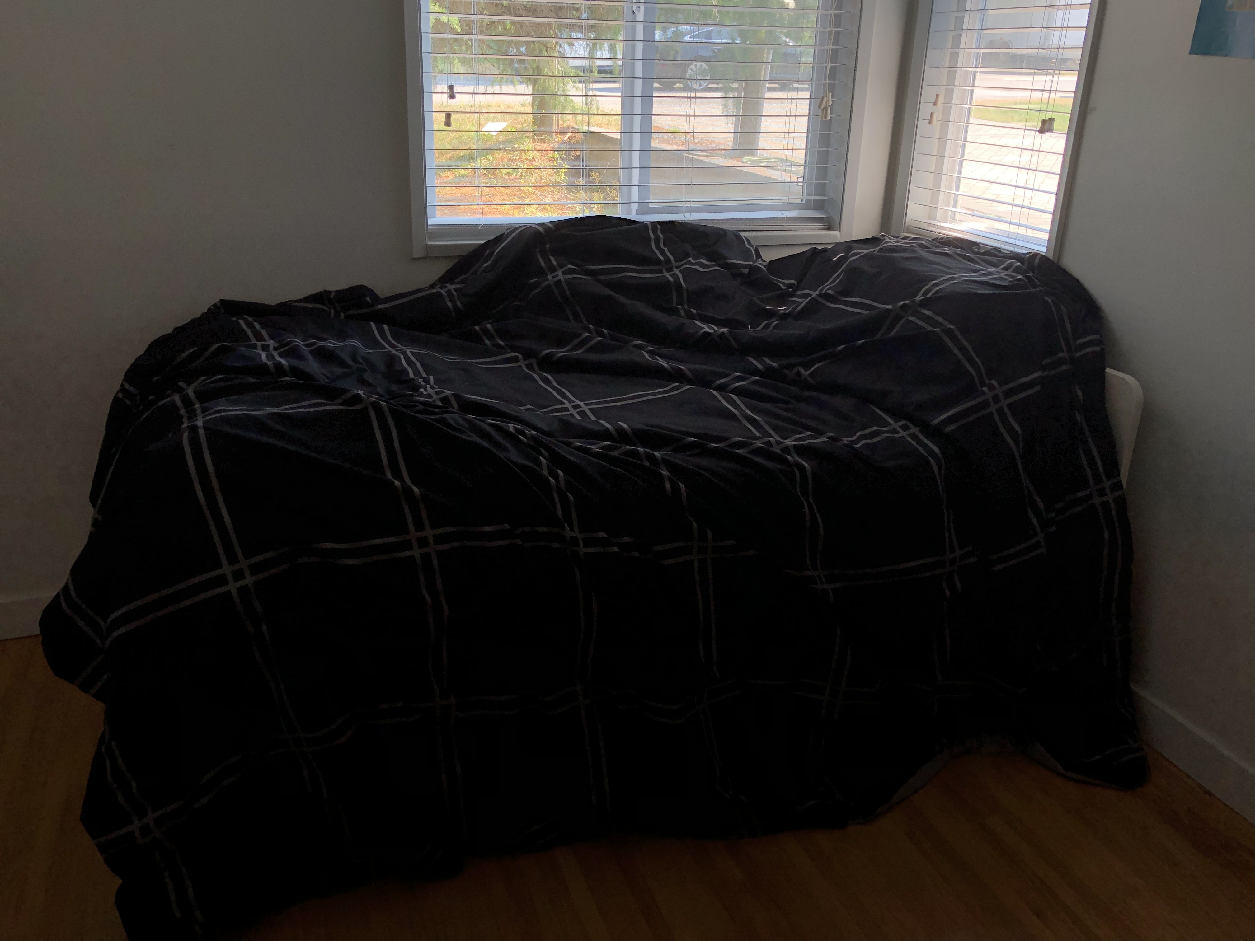 Comforters & Pillows Bundle