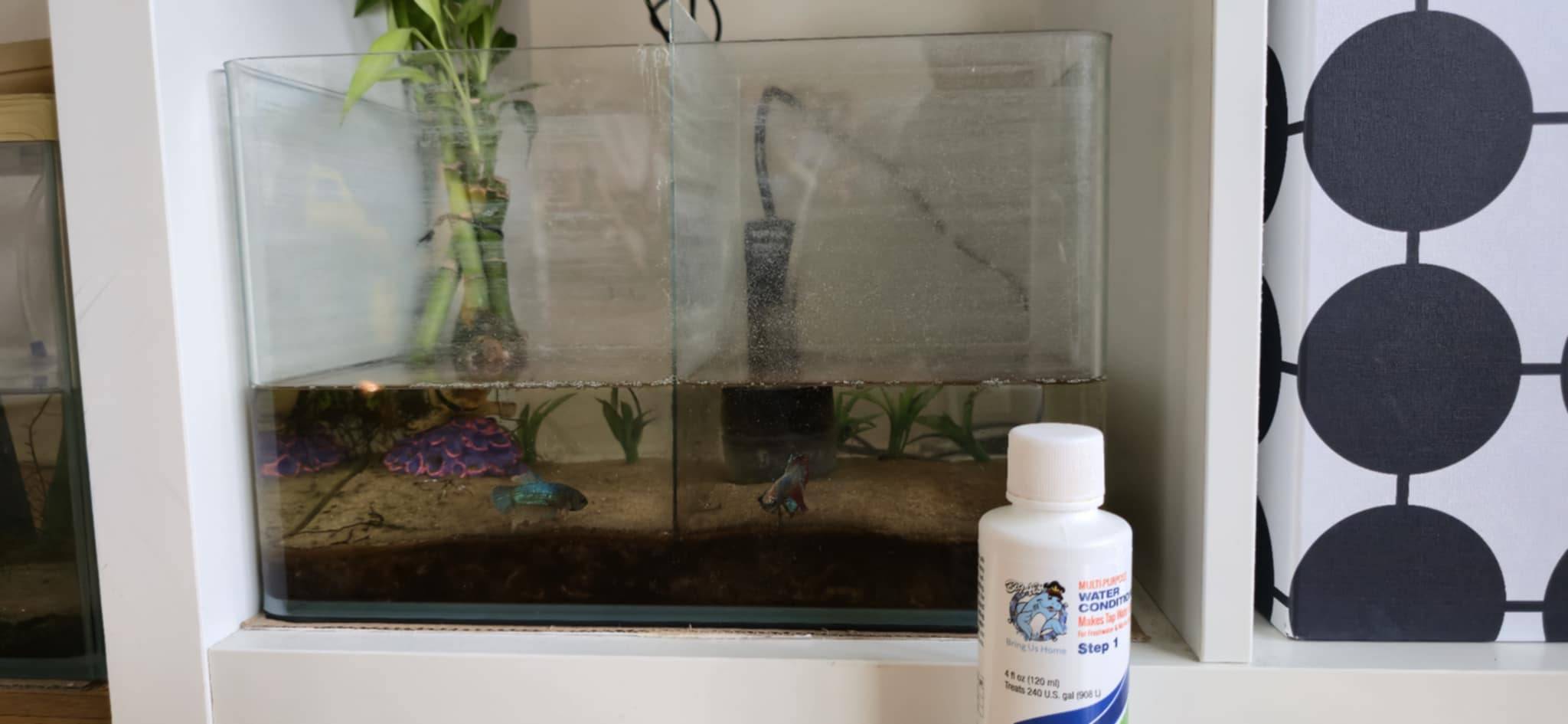 Complete Fish Aquarium Setup with Betta Fish - photo 2