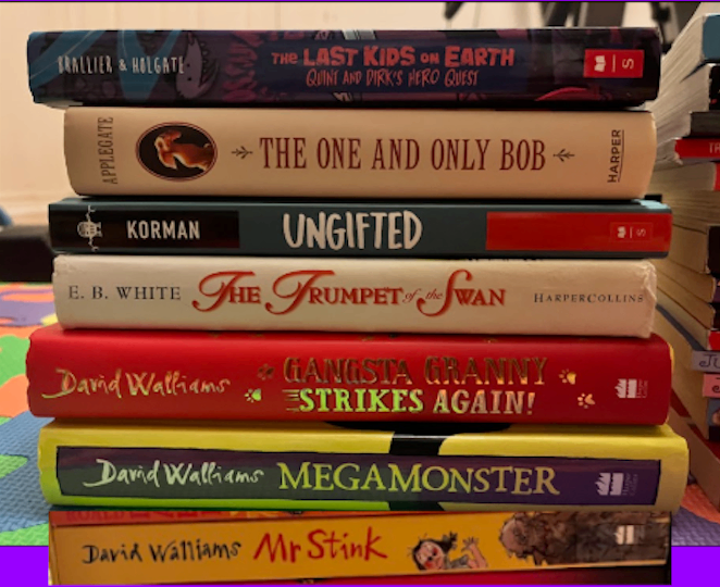 Assortment of Children's Novels (23 Books)