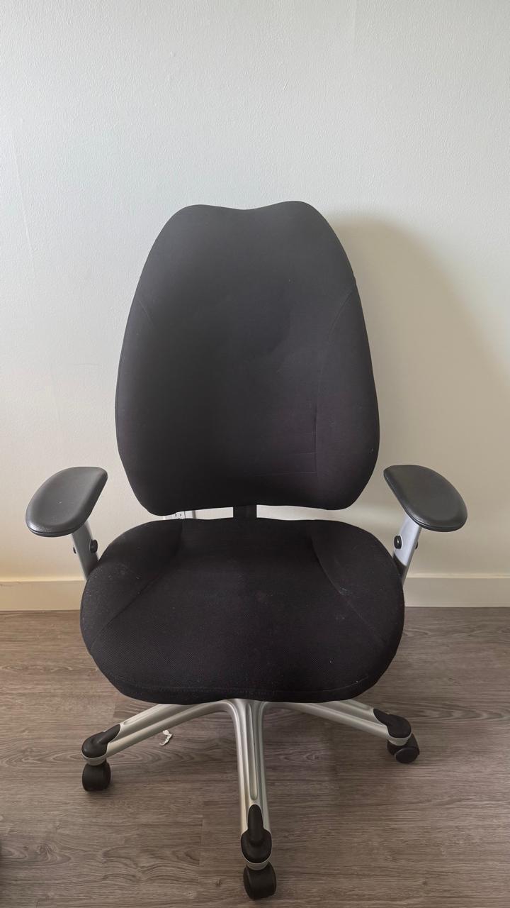 Black Ergonomic Office Chair