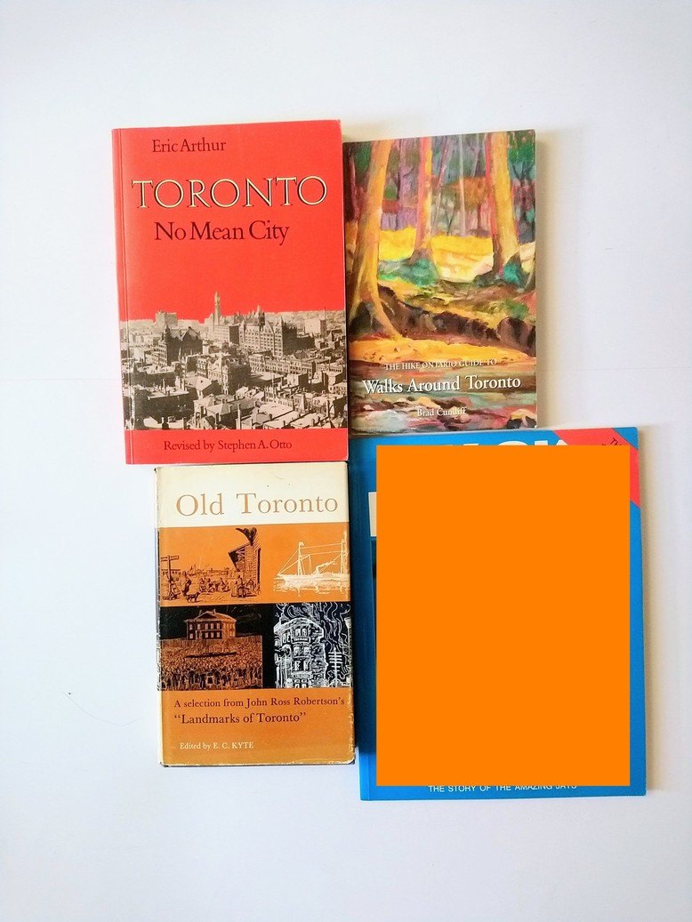 Toronto themed reads!