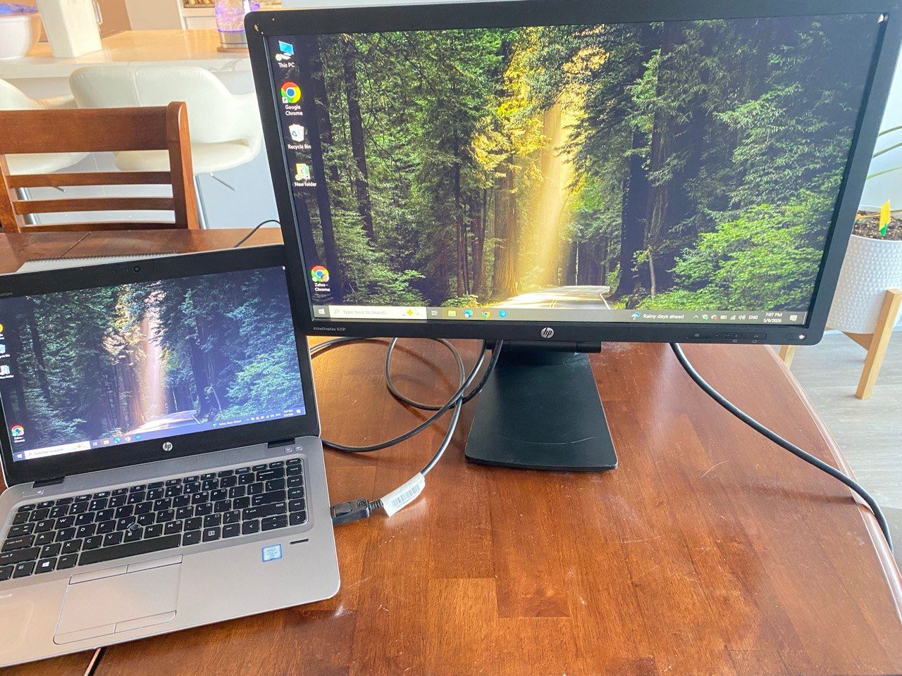 HP Elitedisplay e231