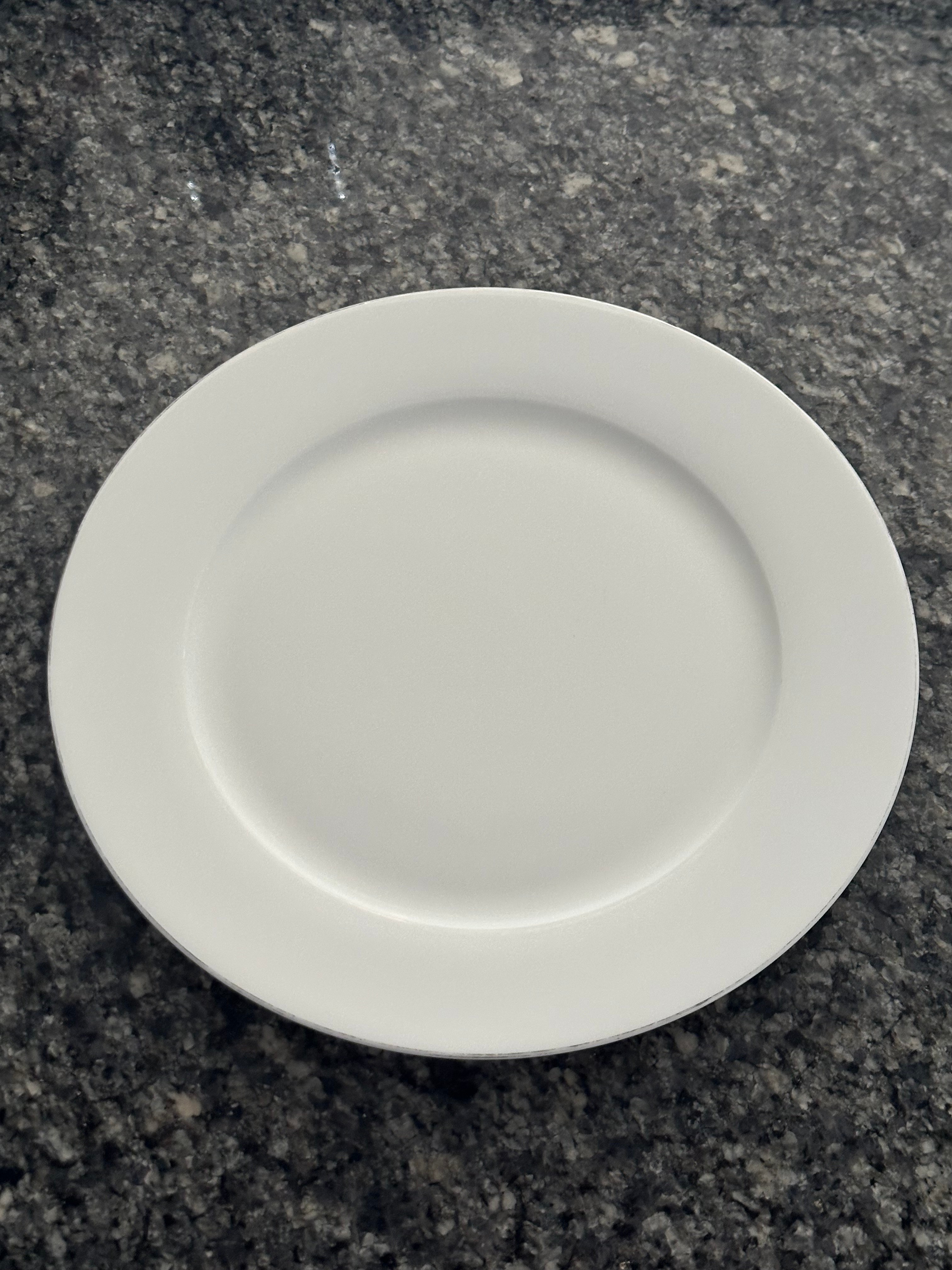 Dinner plates (set 6)