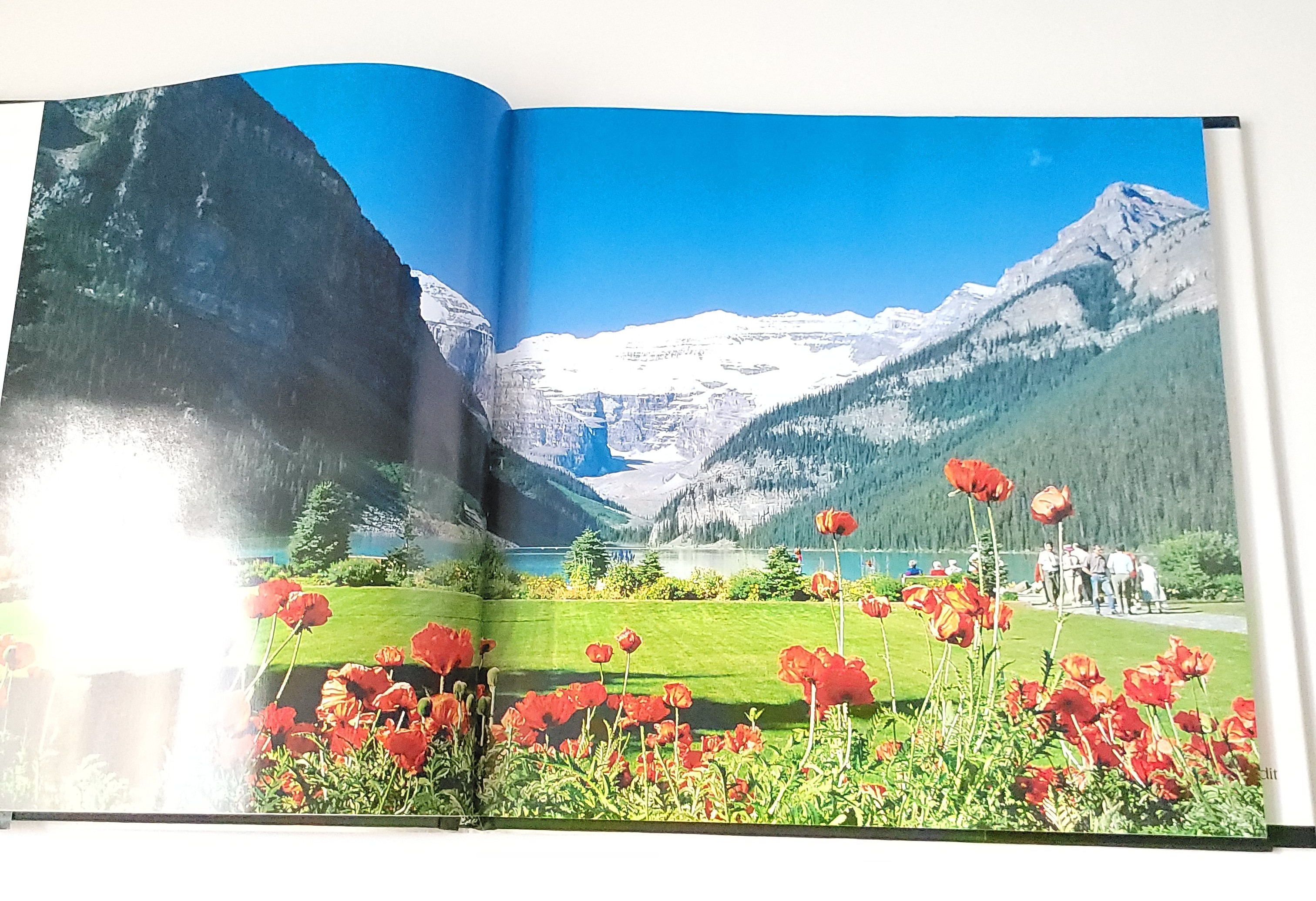 Vintage 2000 Harley Davidson Alberta Hardcover Book, Rare - photo 2