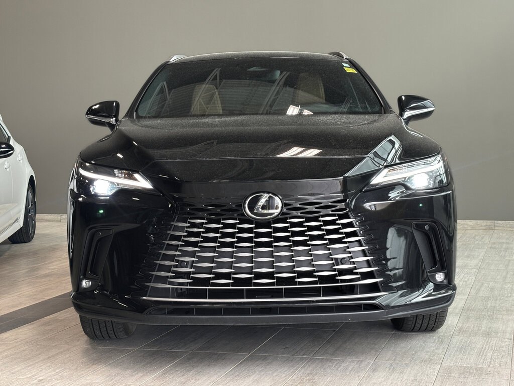 2023 Lexus RX 350 - photo 2