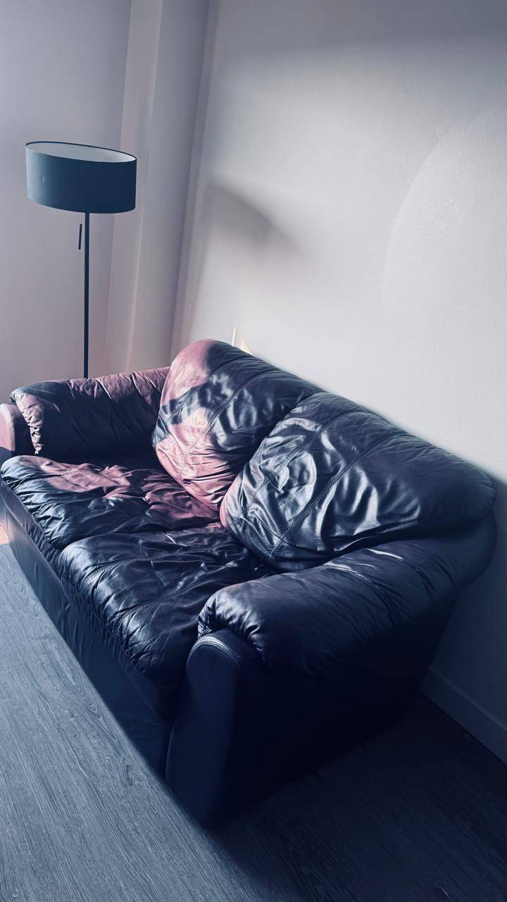 2-seats Dark Purple Leather - photo 2