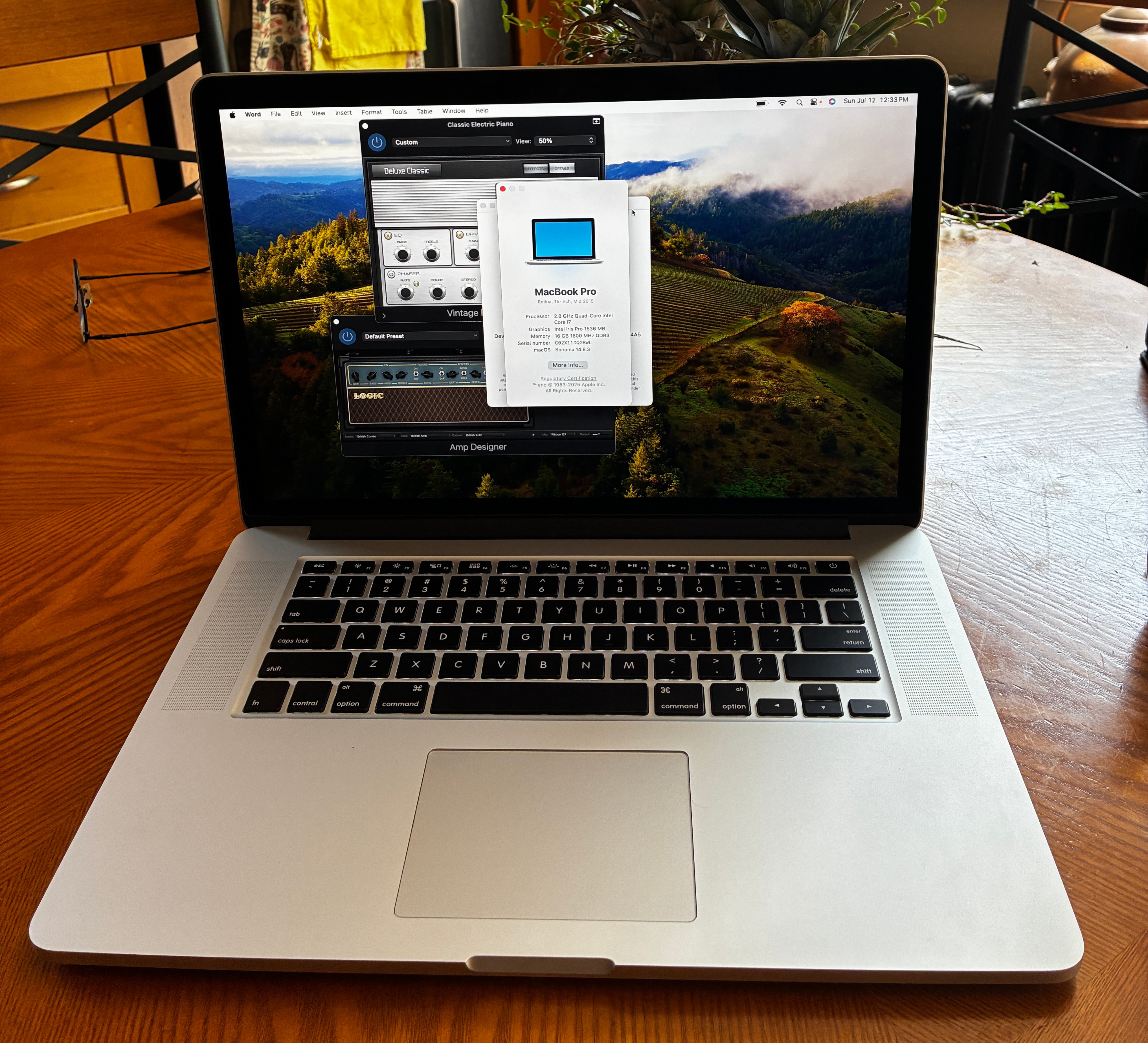 Apple MacBook Pro 15" PLUS SOFTWARE!!