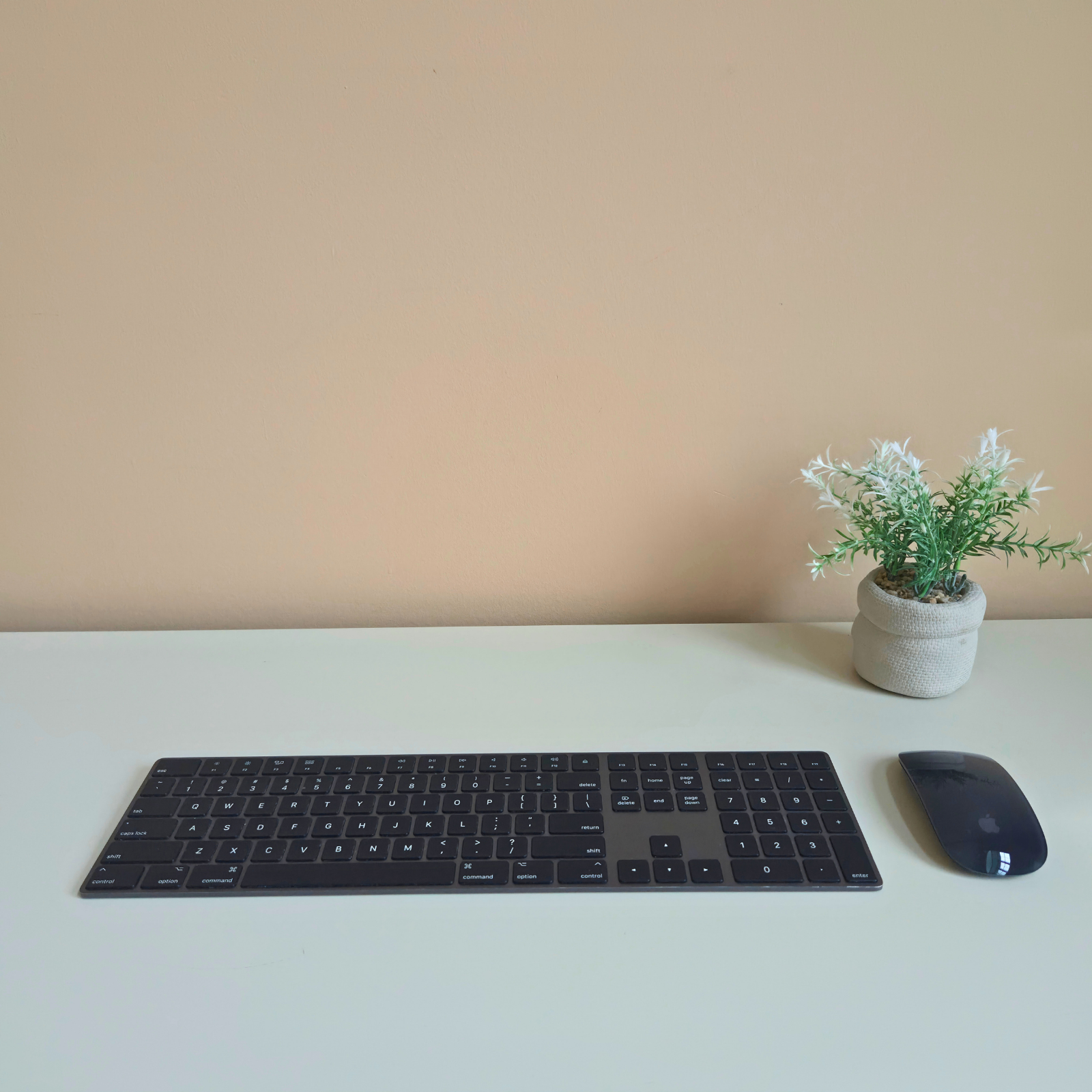 Apple - Magic Keyboard & Magic Mouse Bundle - Pre-Loved! ⌨️