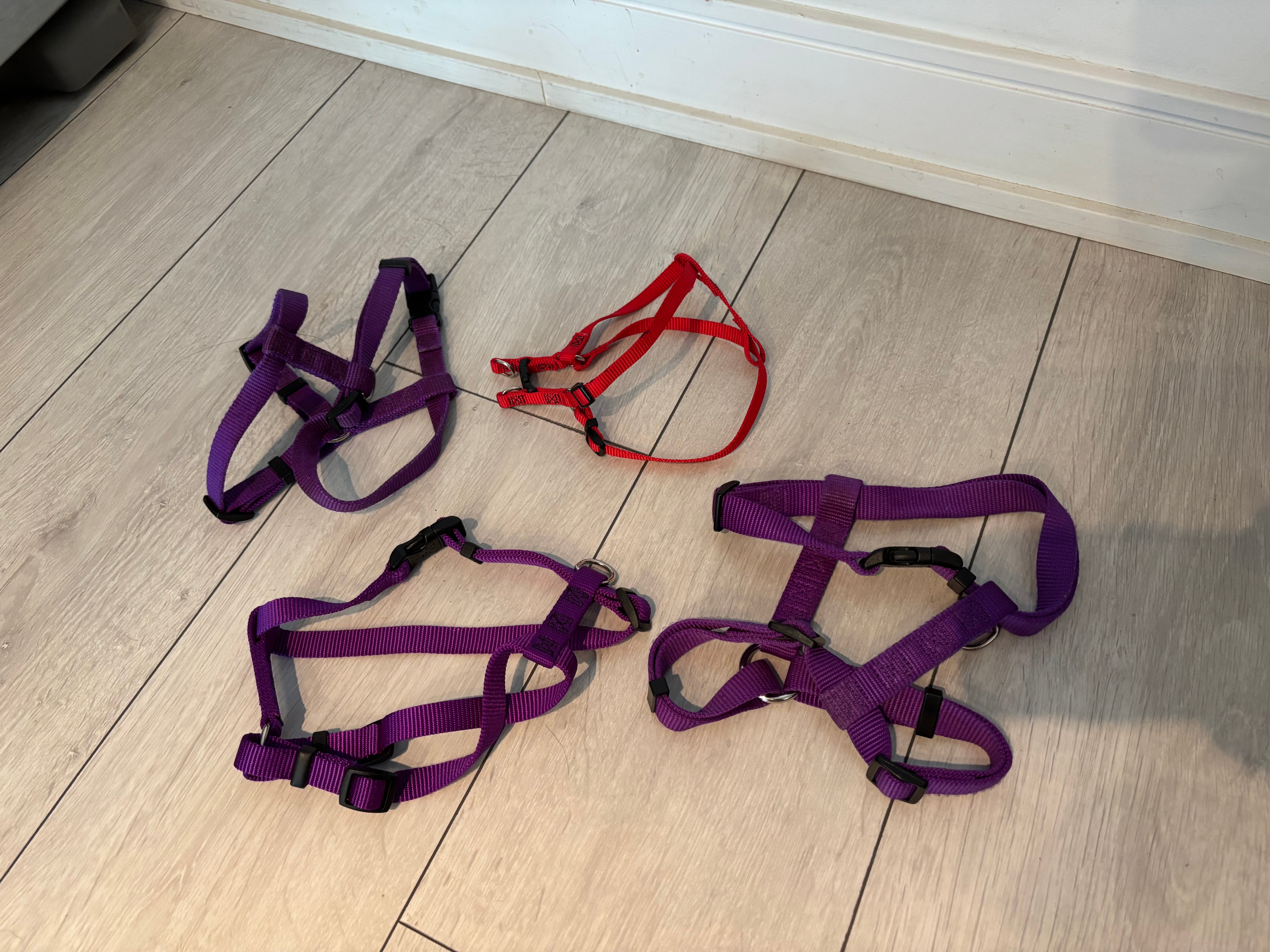 Puppy Harnesses and Leash - photo 2