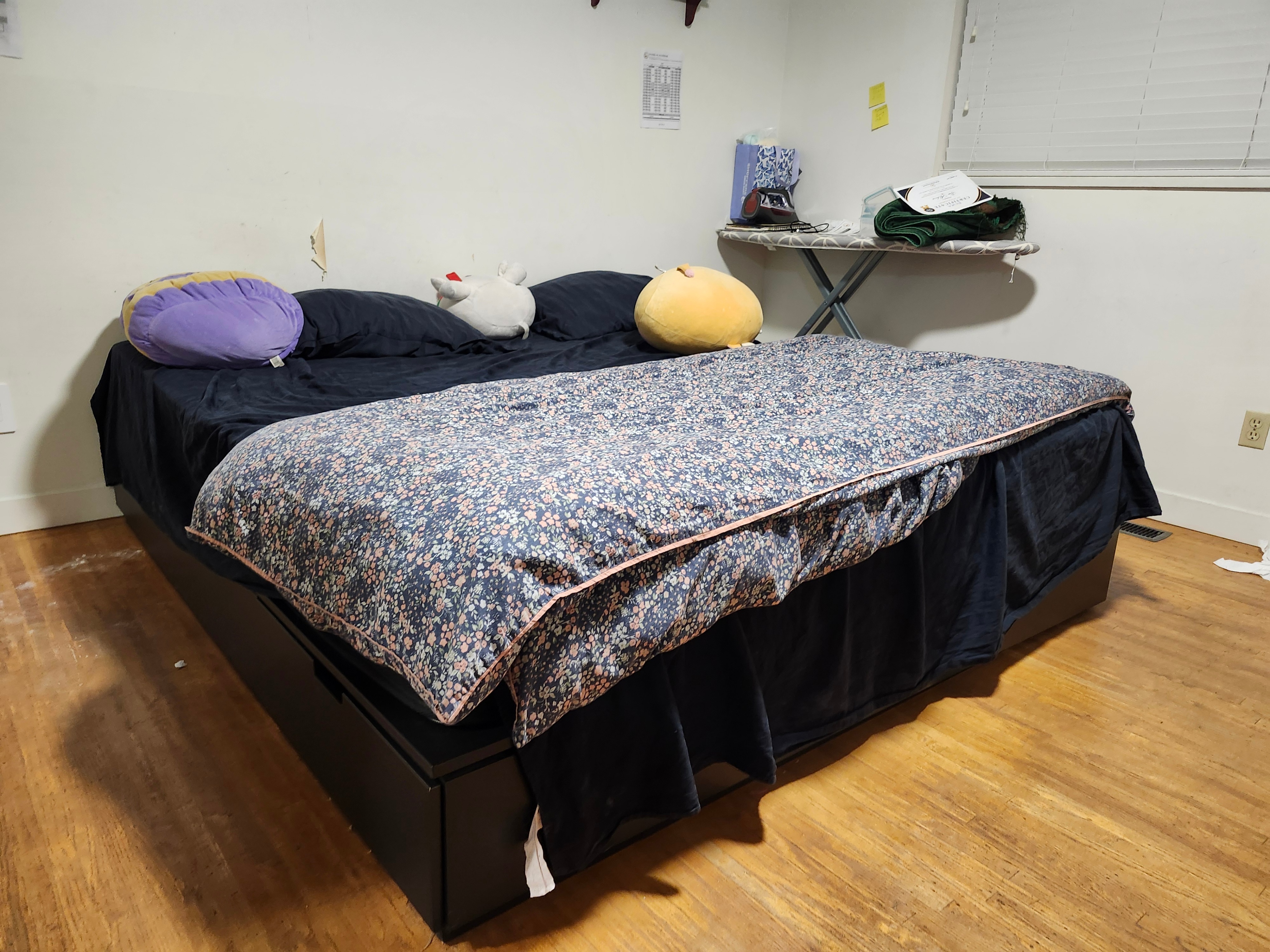 Moving Sale - IKEA Queen Bed Frame with Storage