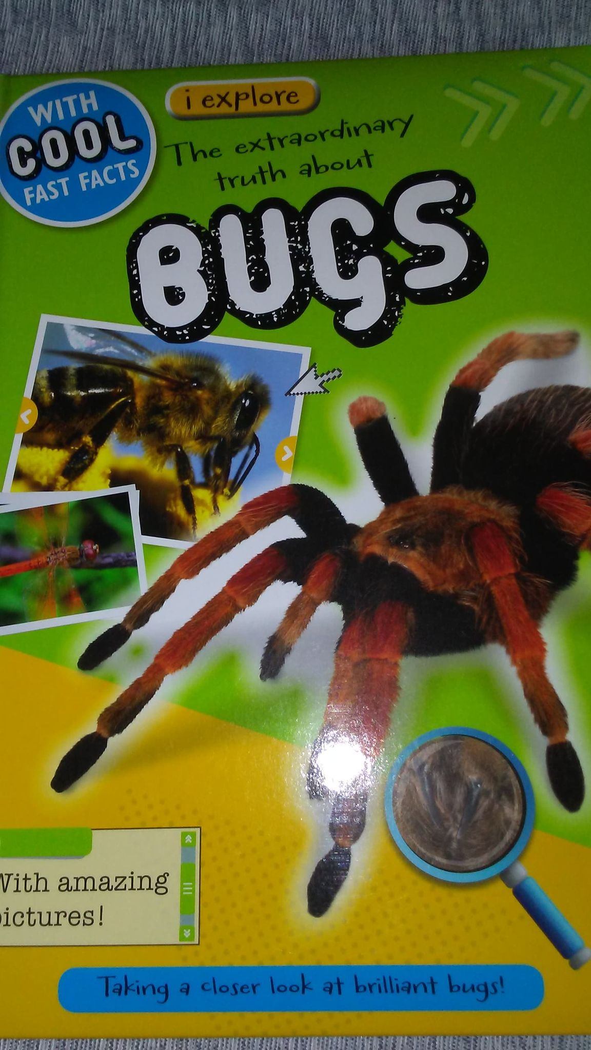 The Extraordinary Truth About Bugs Book (New)