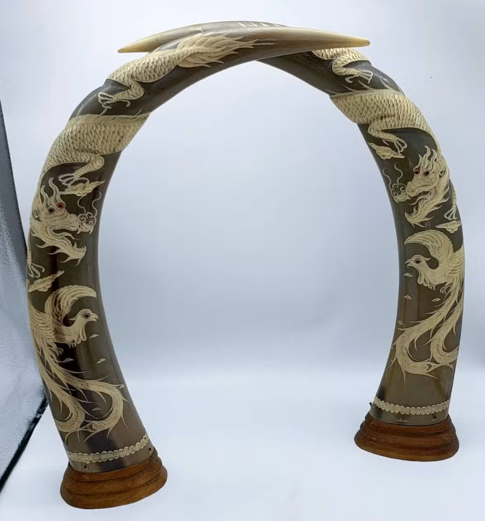Pair of Vintage Hand-Carved Dragon & Phoenix Water Buffalo Horns