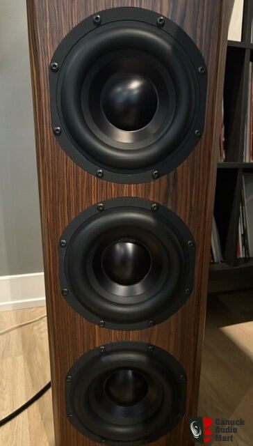 Bryston MODEL T High End Speakers Like New - photo 5