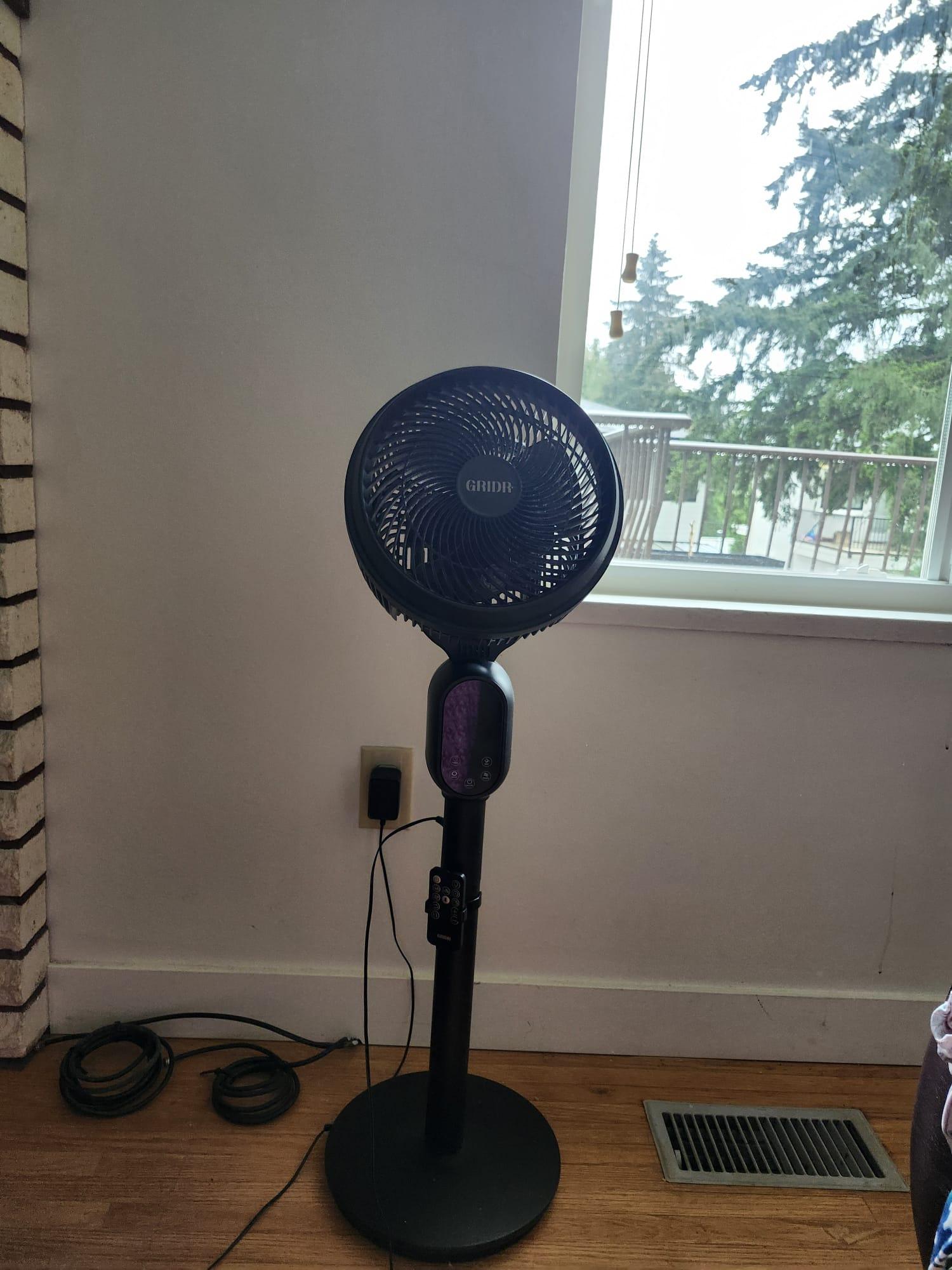 Black Pedestal Fan - Moving Sale - photo 3