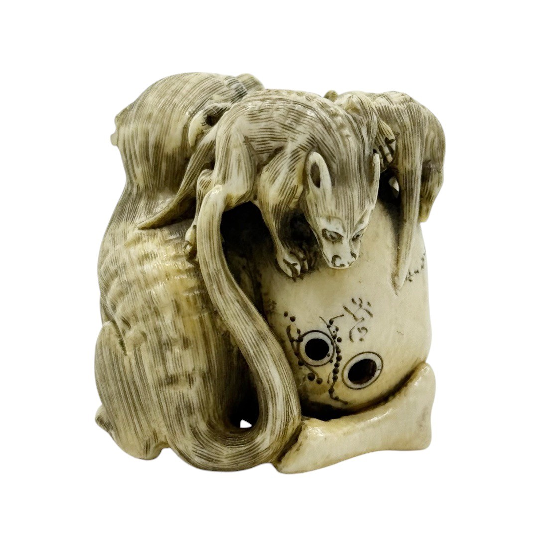 Meiji period Memento Mori bone Skull snake possum netsuke - photo 5