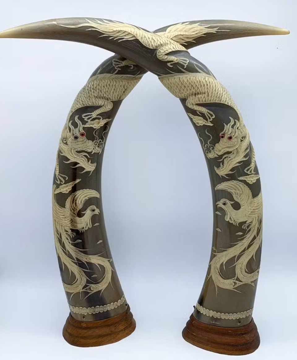 Pair of Vintage Hand-Carved Dragon & Phoenix Water Buffalo Horns - photo 2