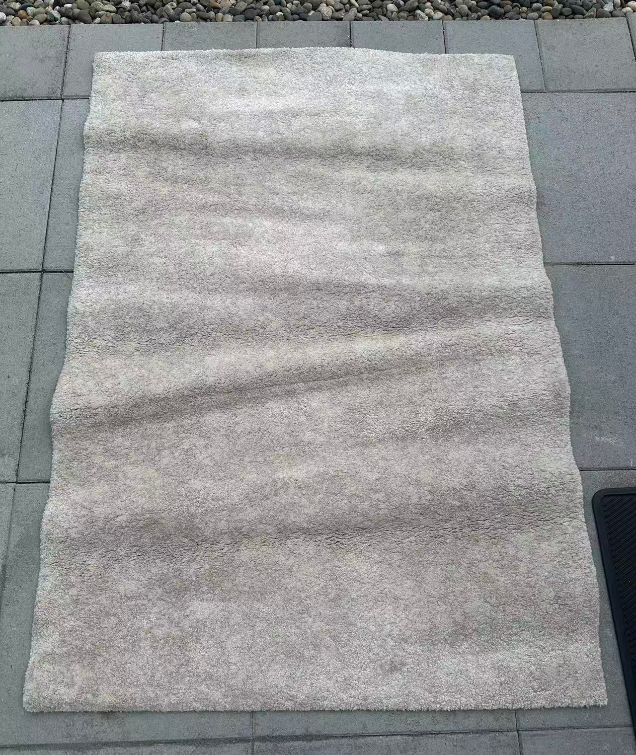 Like New Light Beige Carpet - photo 2