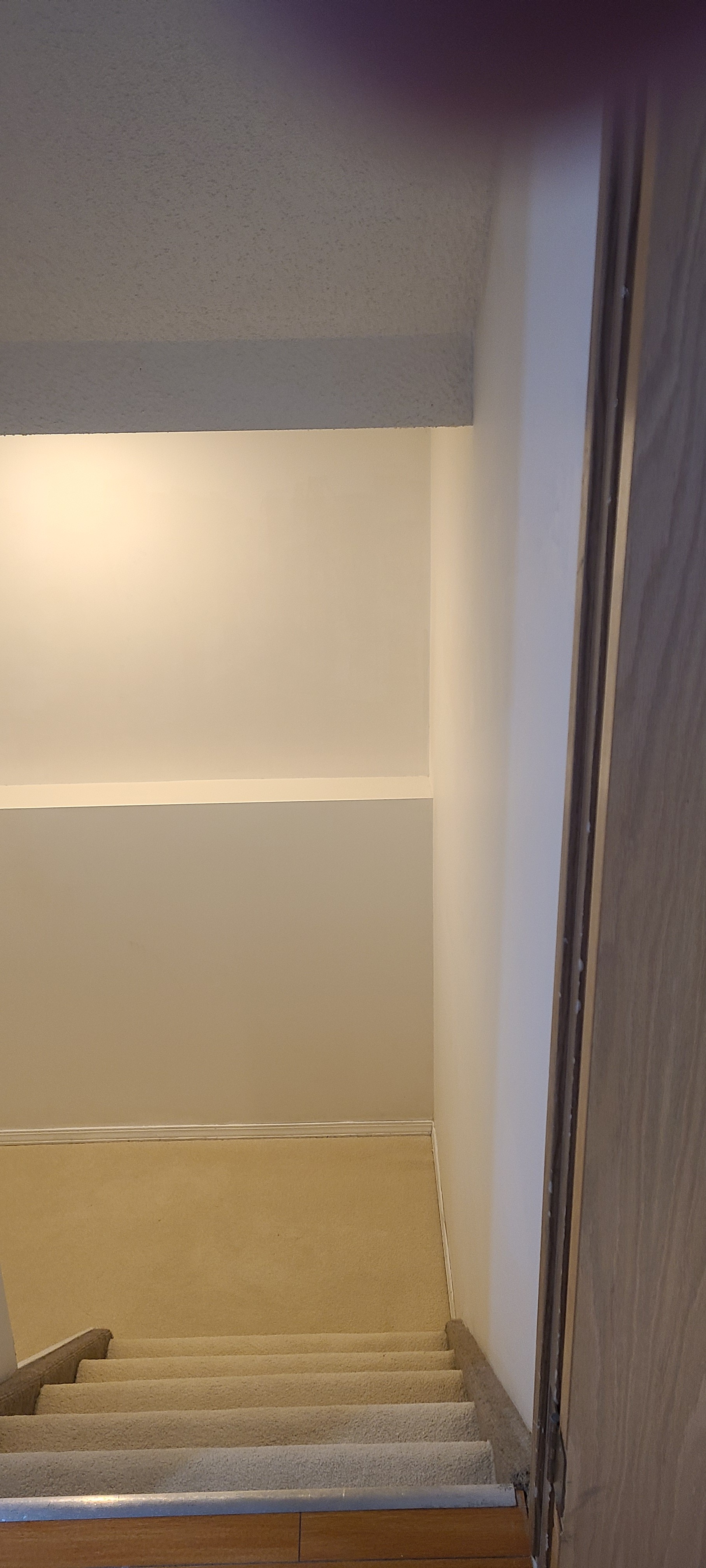 House for rent - photo 4