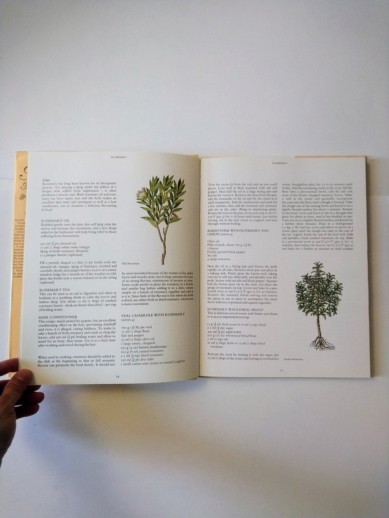 Herbs: International & Illustrated! - photo 2