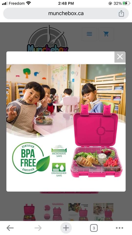 New 4-Compartment Munchebox Lunch Box