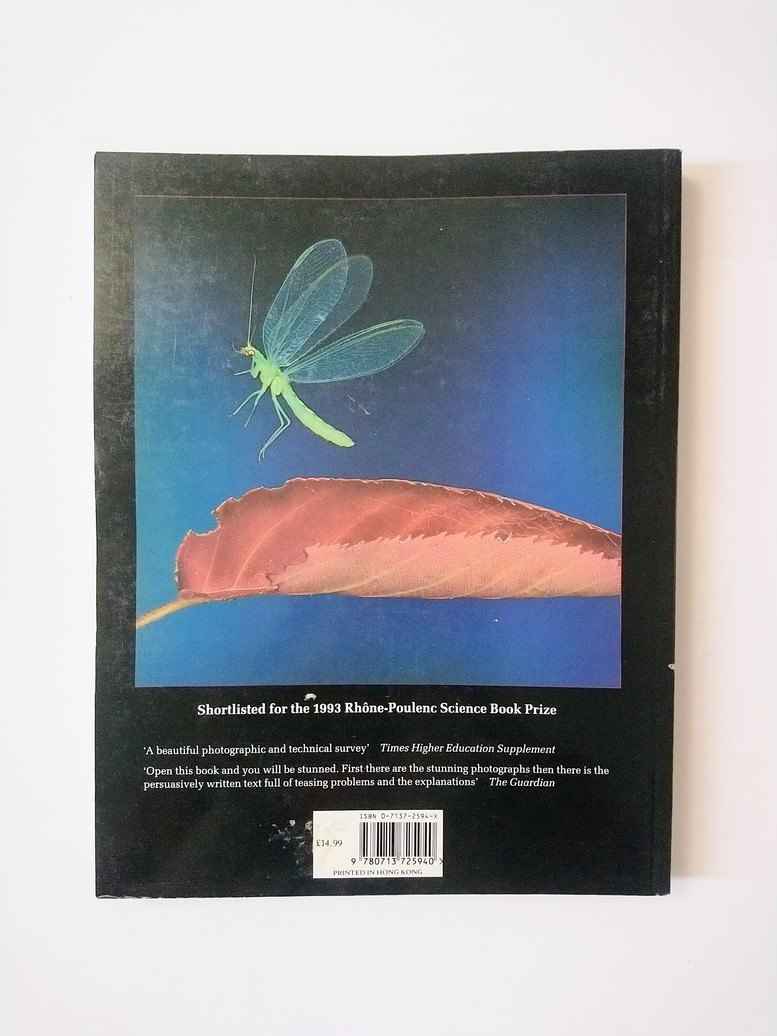 Insects In Flight! - photo 2