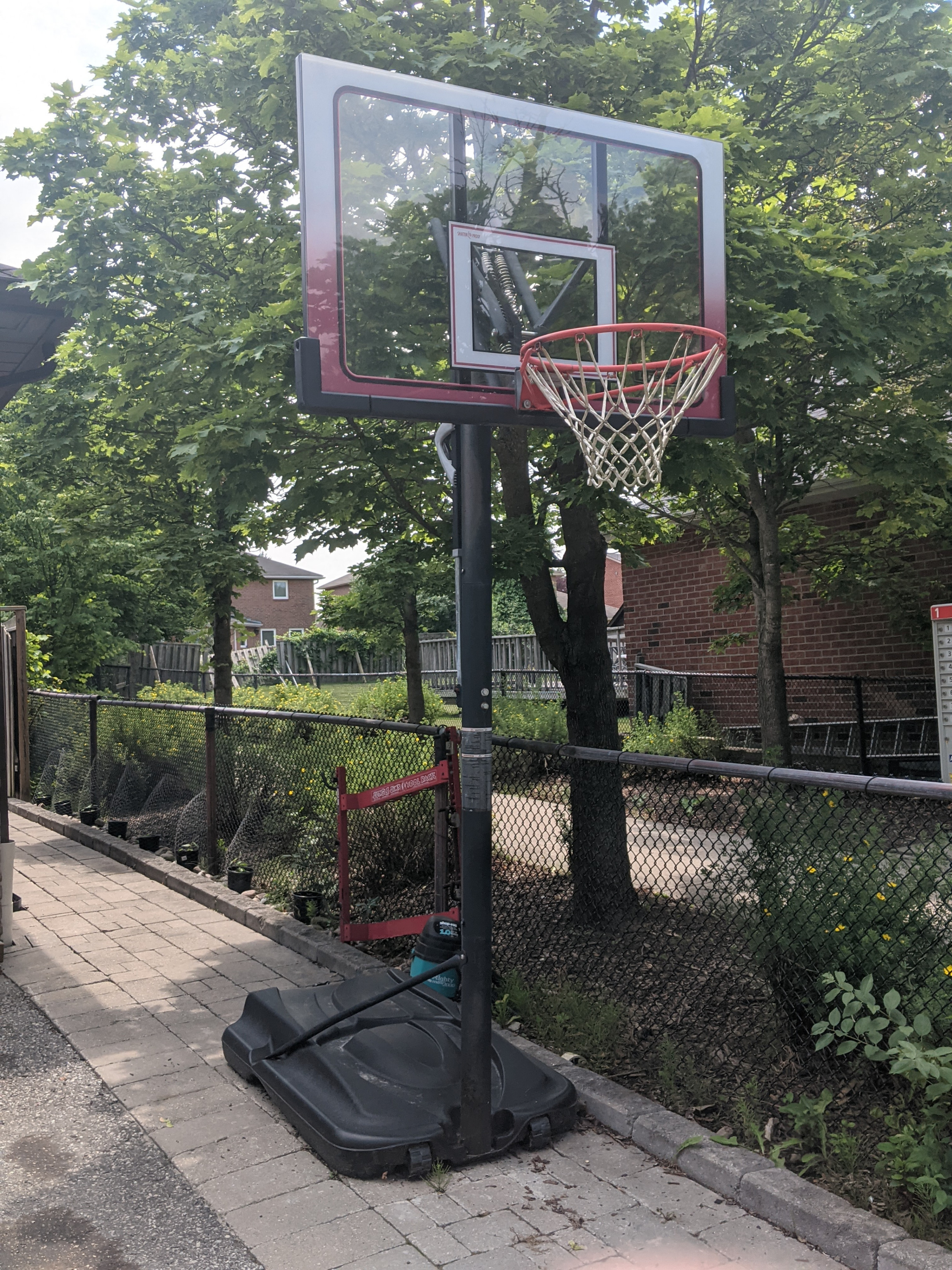 Lifetime Adjustable Basketball Hoop