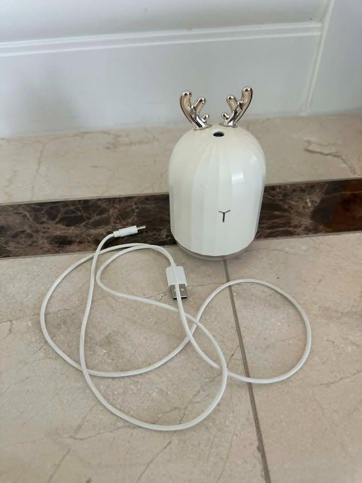 Two Diffusers For Sale - photo 4