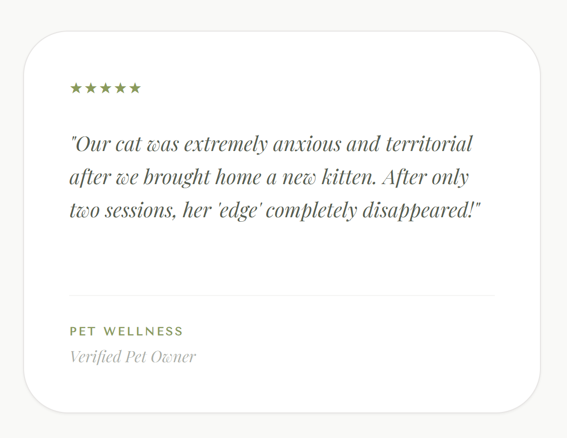 Personalized Holistic Wellness Consultation - photo 4
