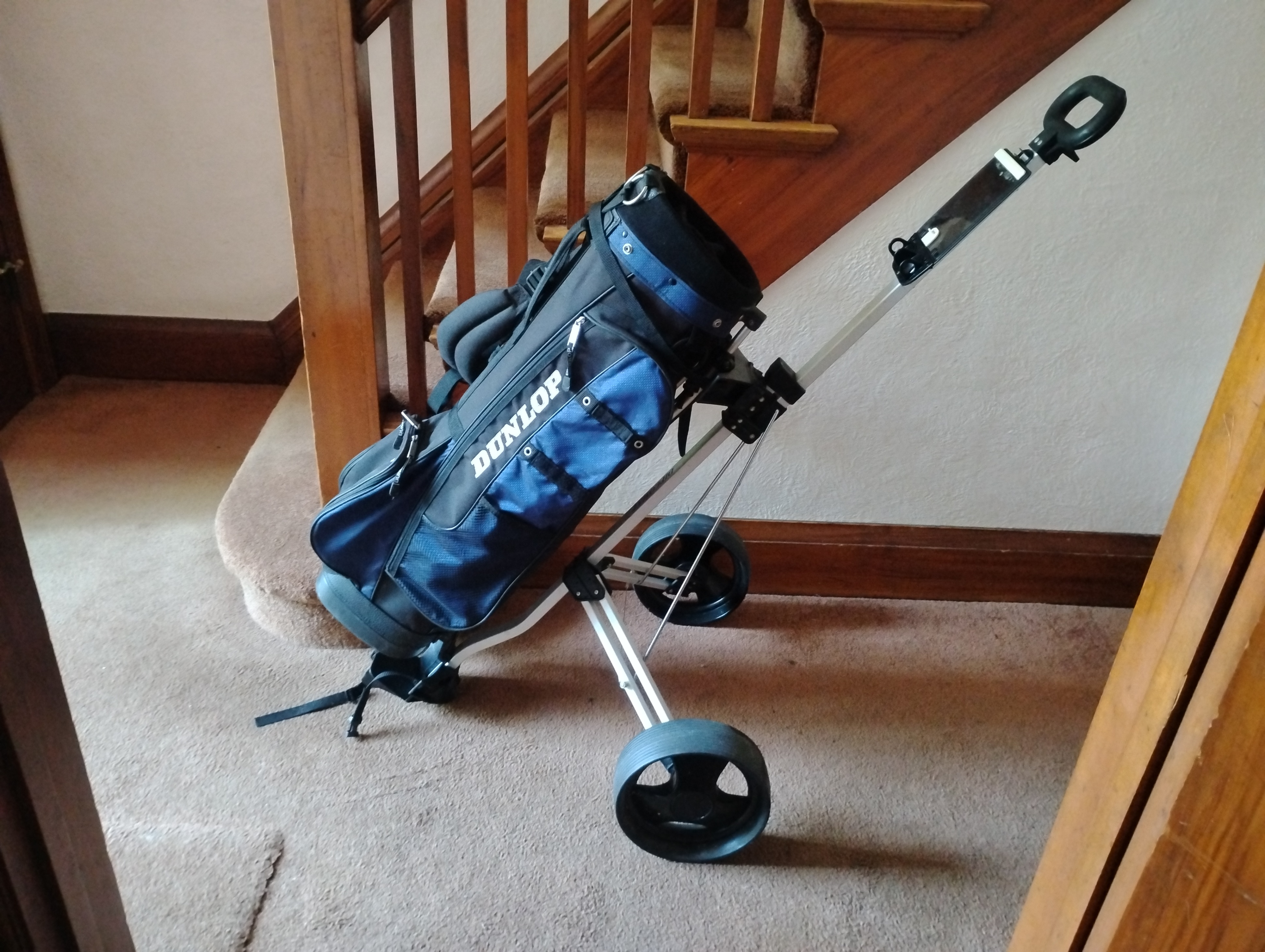 Complete Golf Starter Set with Bag & Cart - photo 5