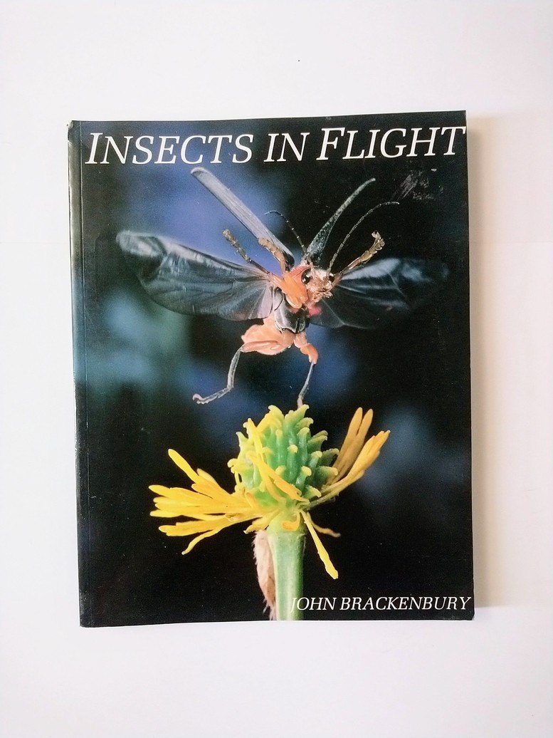 Insects In Flight!