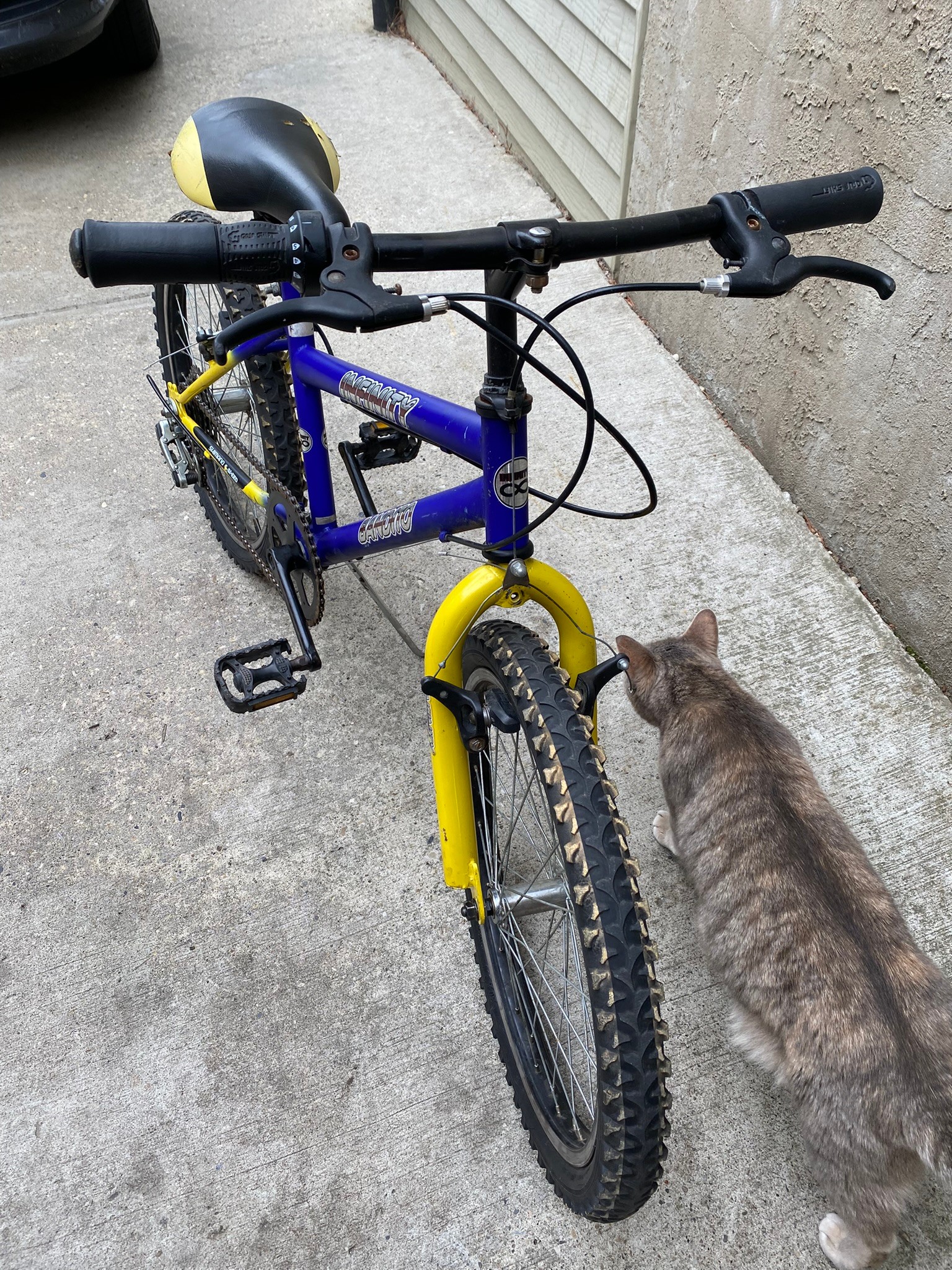 Kids 20" Infinity Bandito Bike - photo 2
