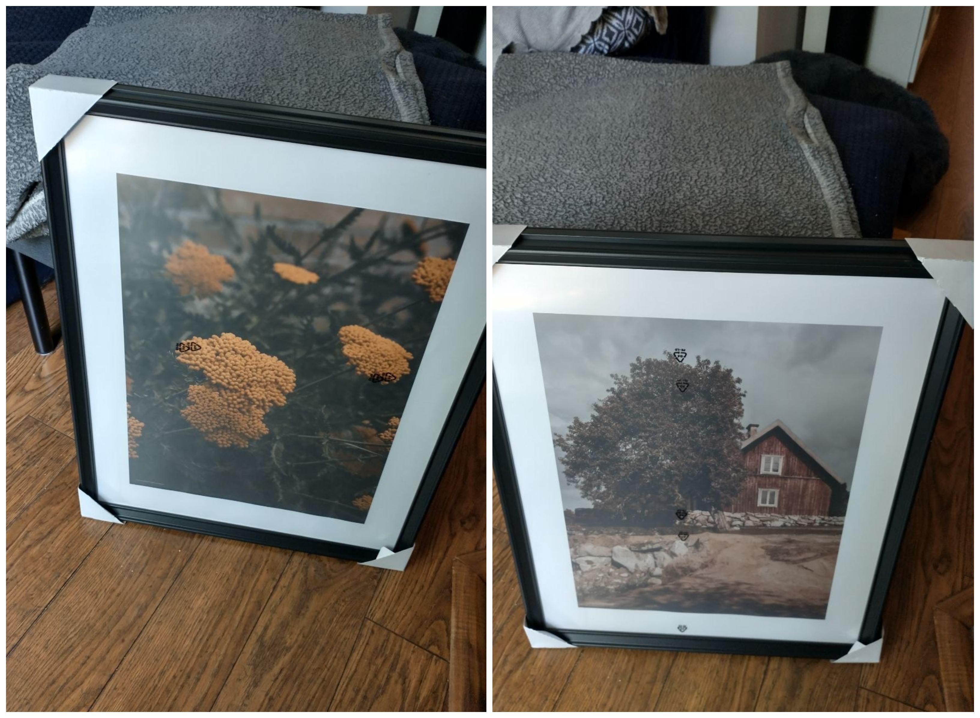 Set of Two Framed Prints - New