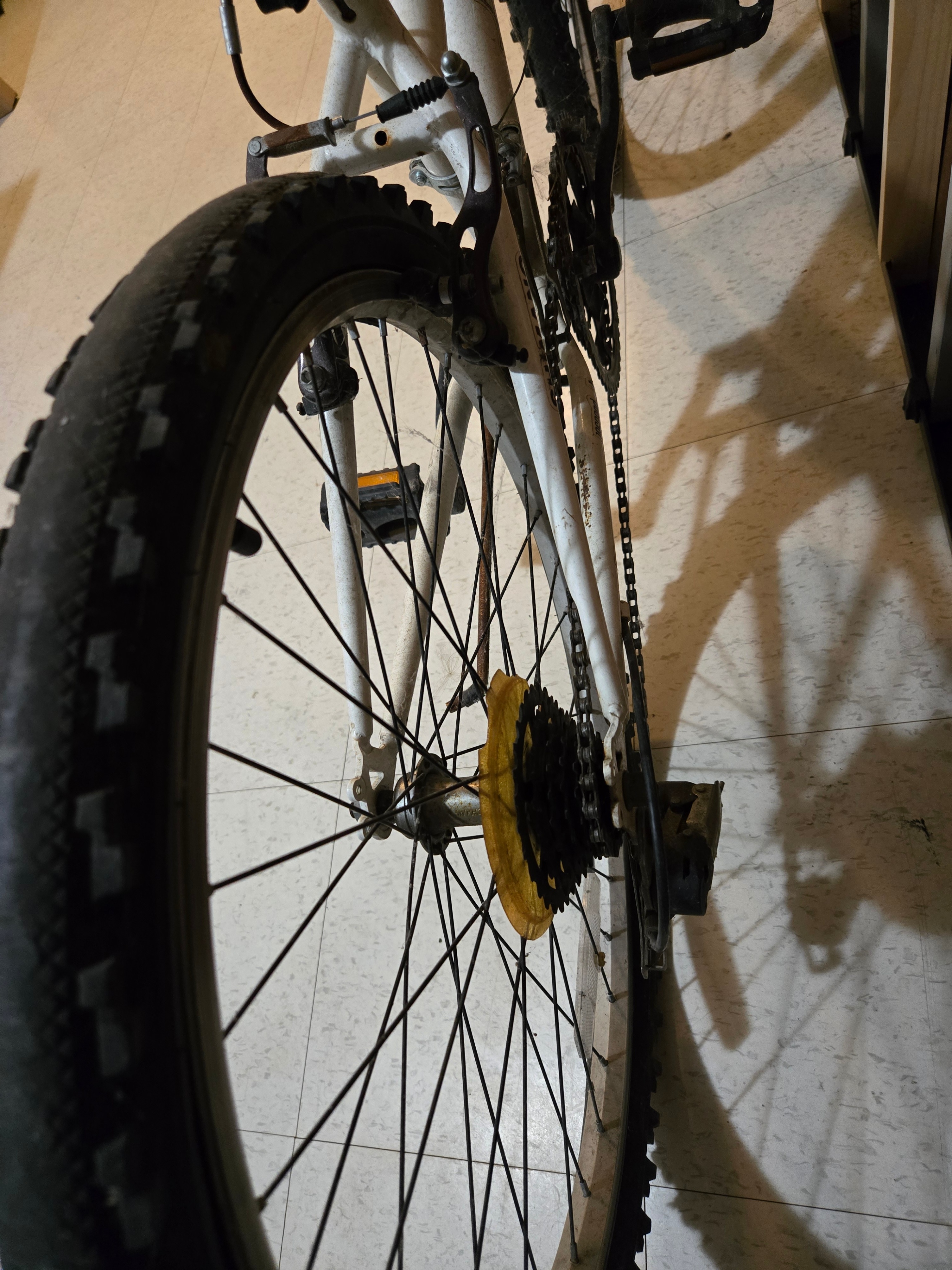 Nakamura Women's 24" Mountain Bike (18-Speed) - Needs Tires - photo 2