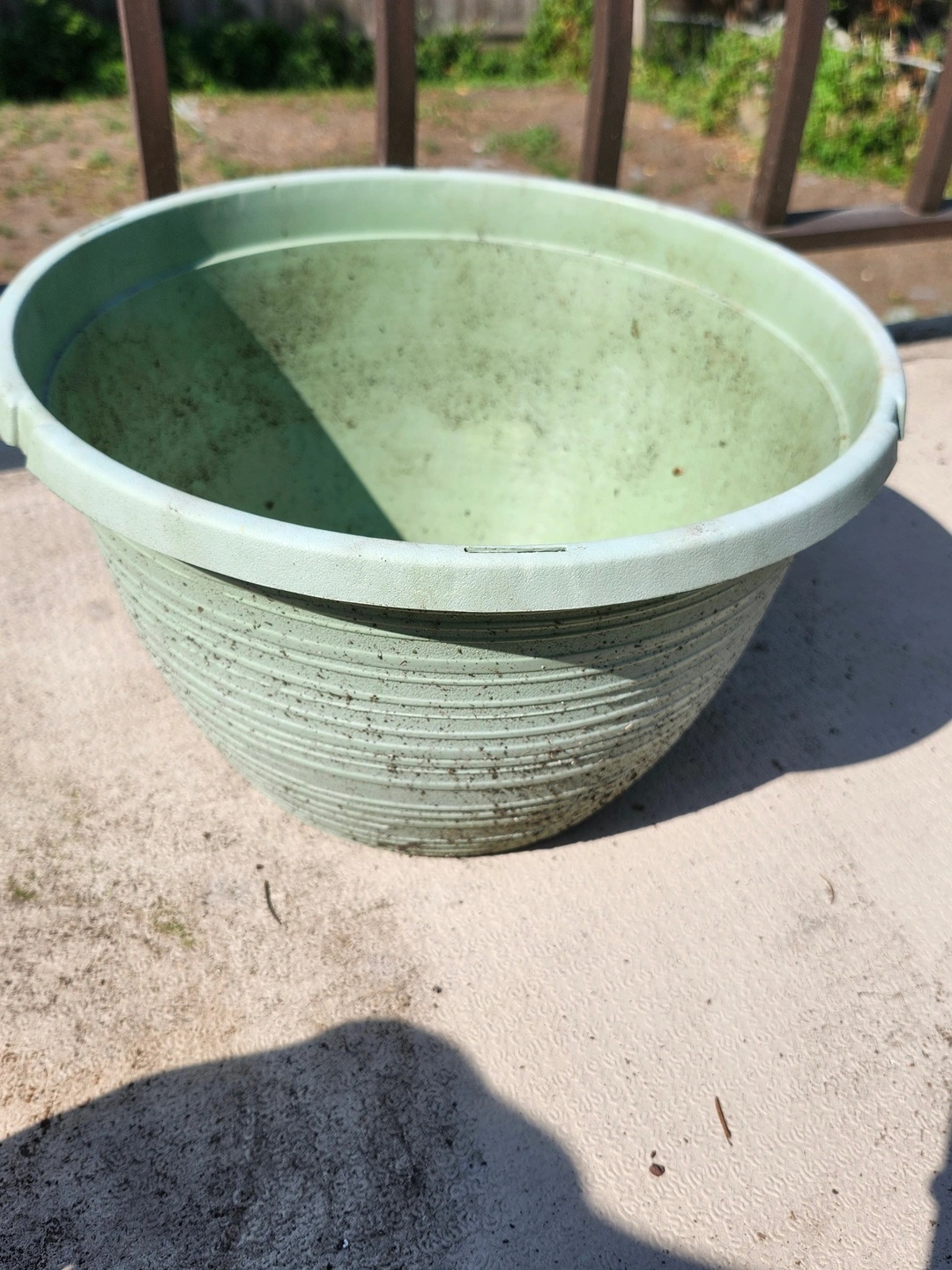 Beginner Vegetable Growing Bundle - Pots, Soil & Fertilizer - photo 4