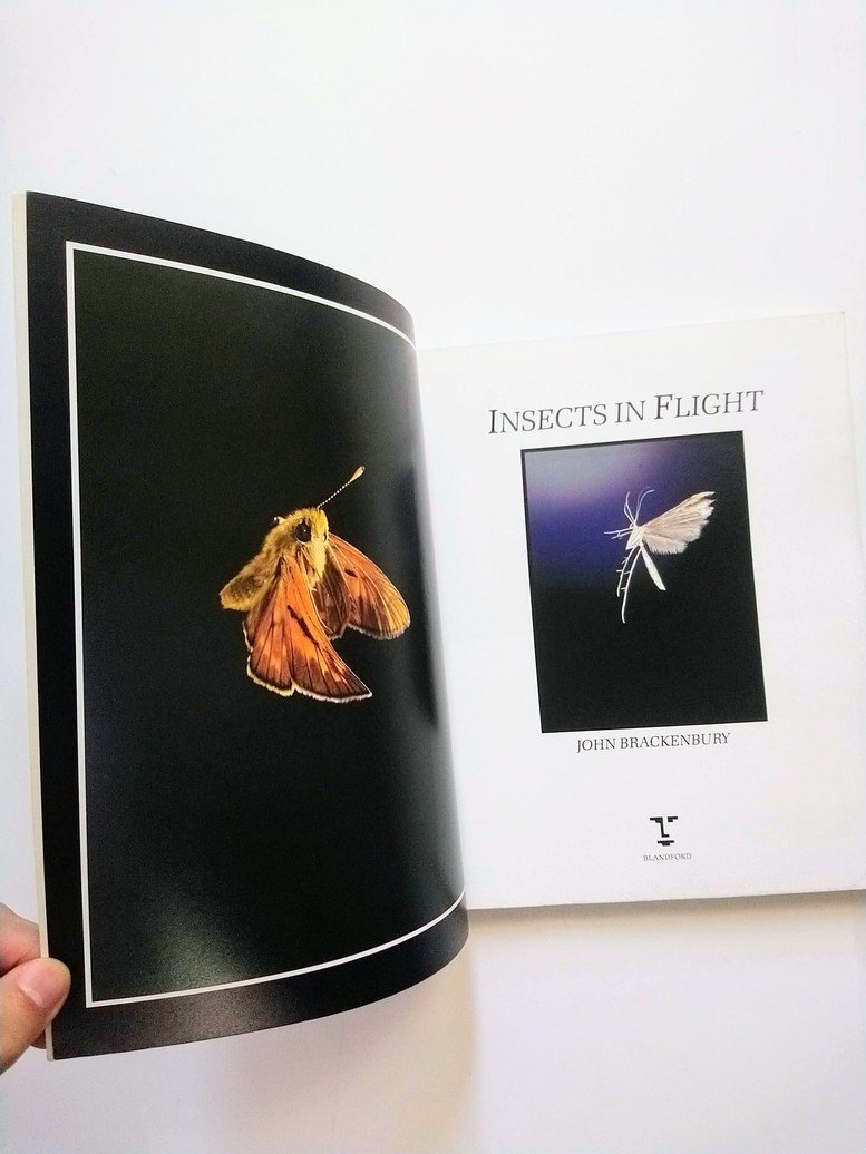 Insects In Flight! - photo 3