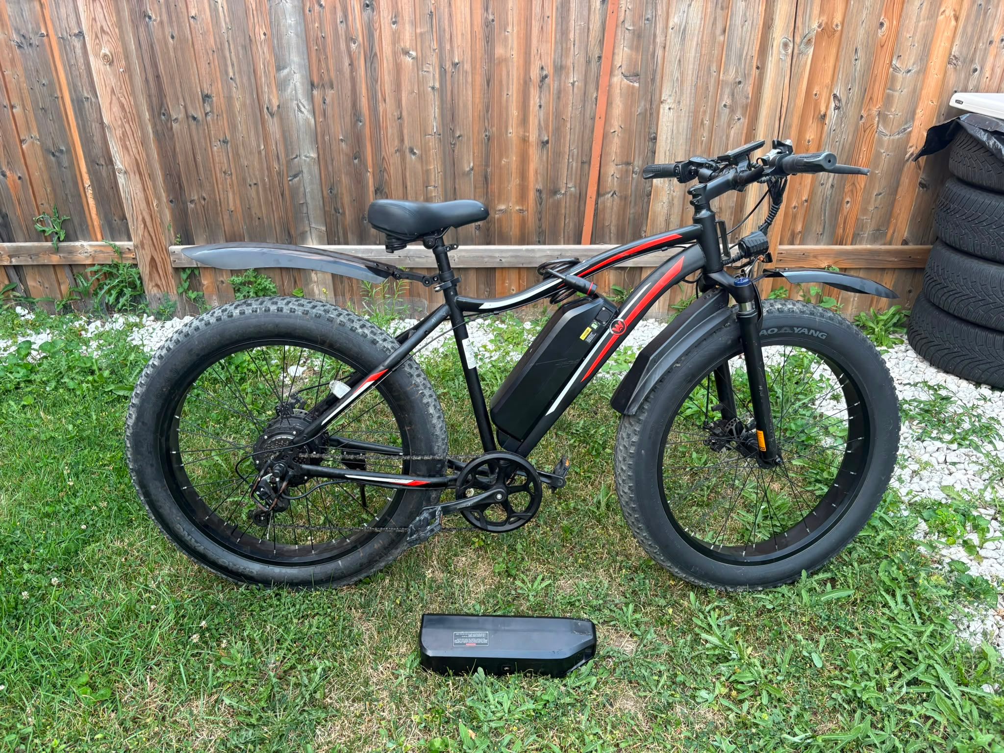 Electric Fat Bike - photo 2