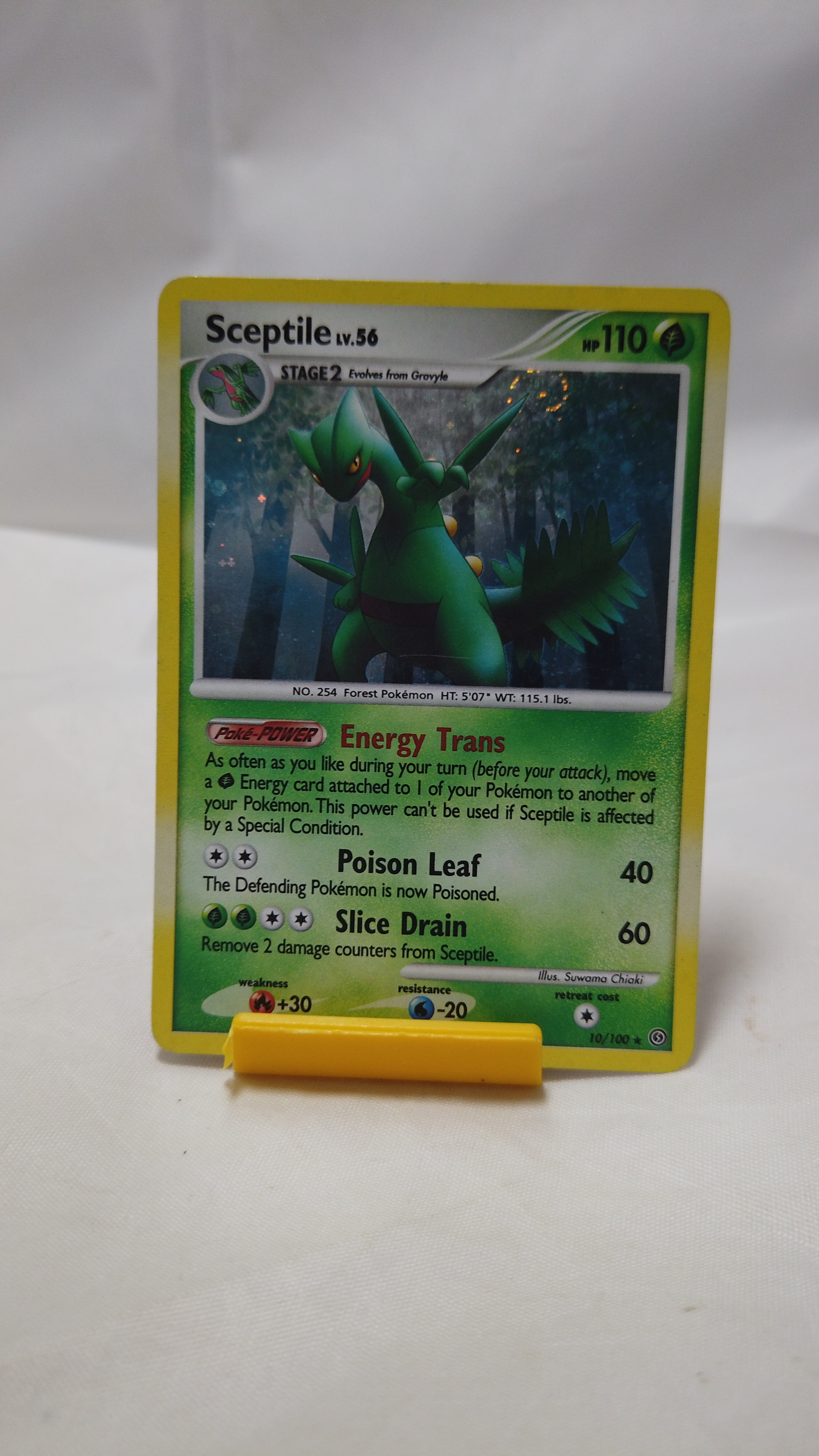 Pokemon Sceptile 010/100 Stormfront Holo Rare Played
