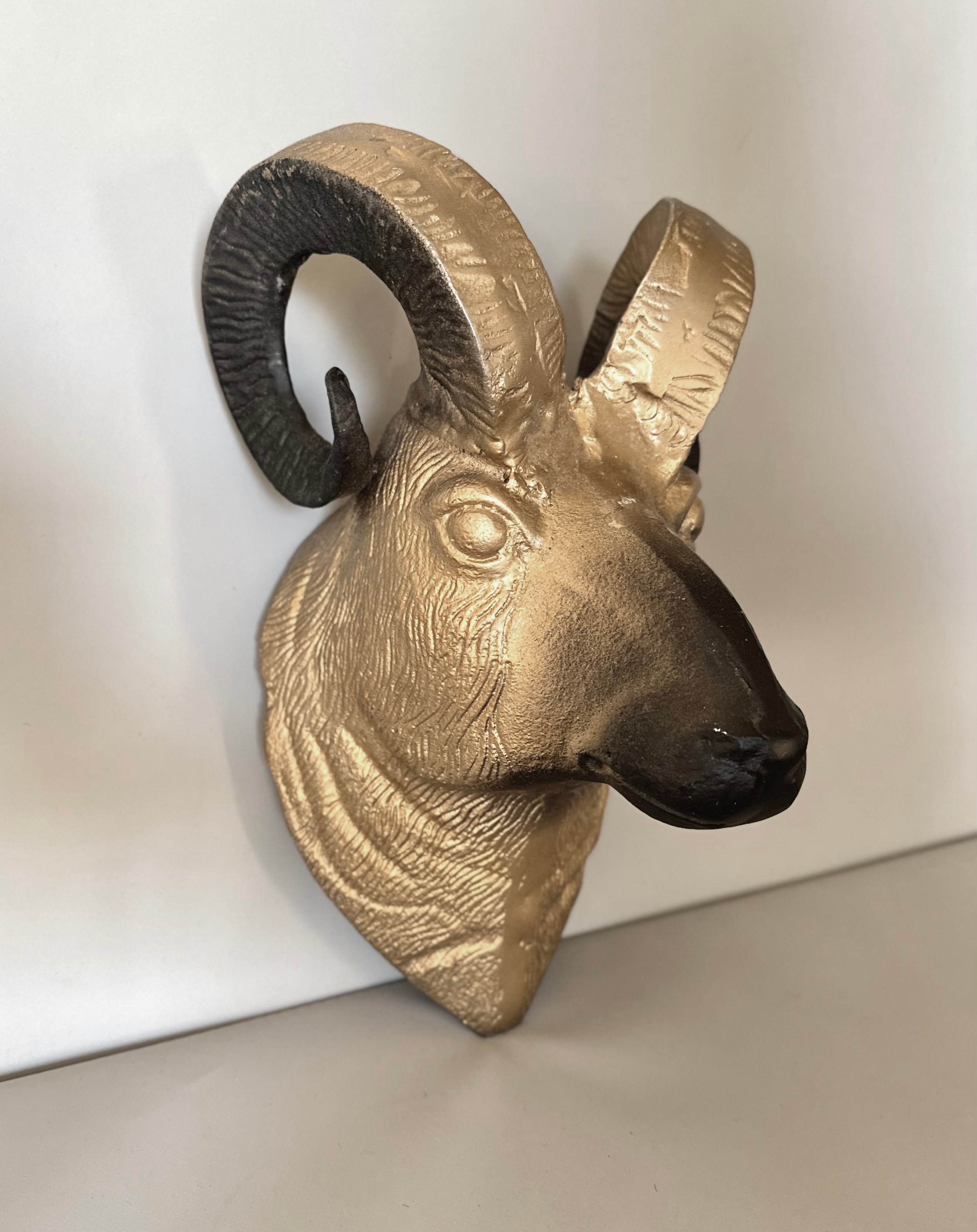 Decorative Ram Head - photo 4