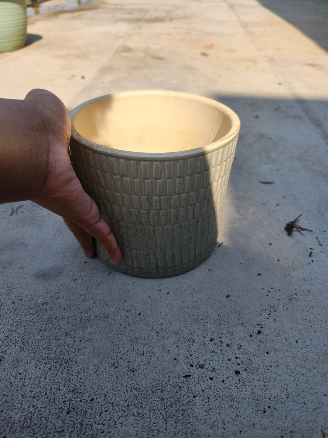 Beginner Vegetable Growing Bundle - Pots, Soil & Fertilizer - photo 2