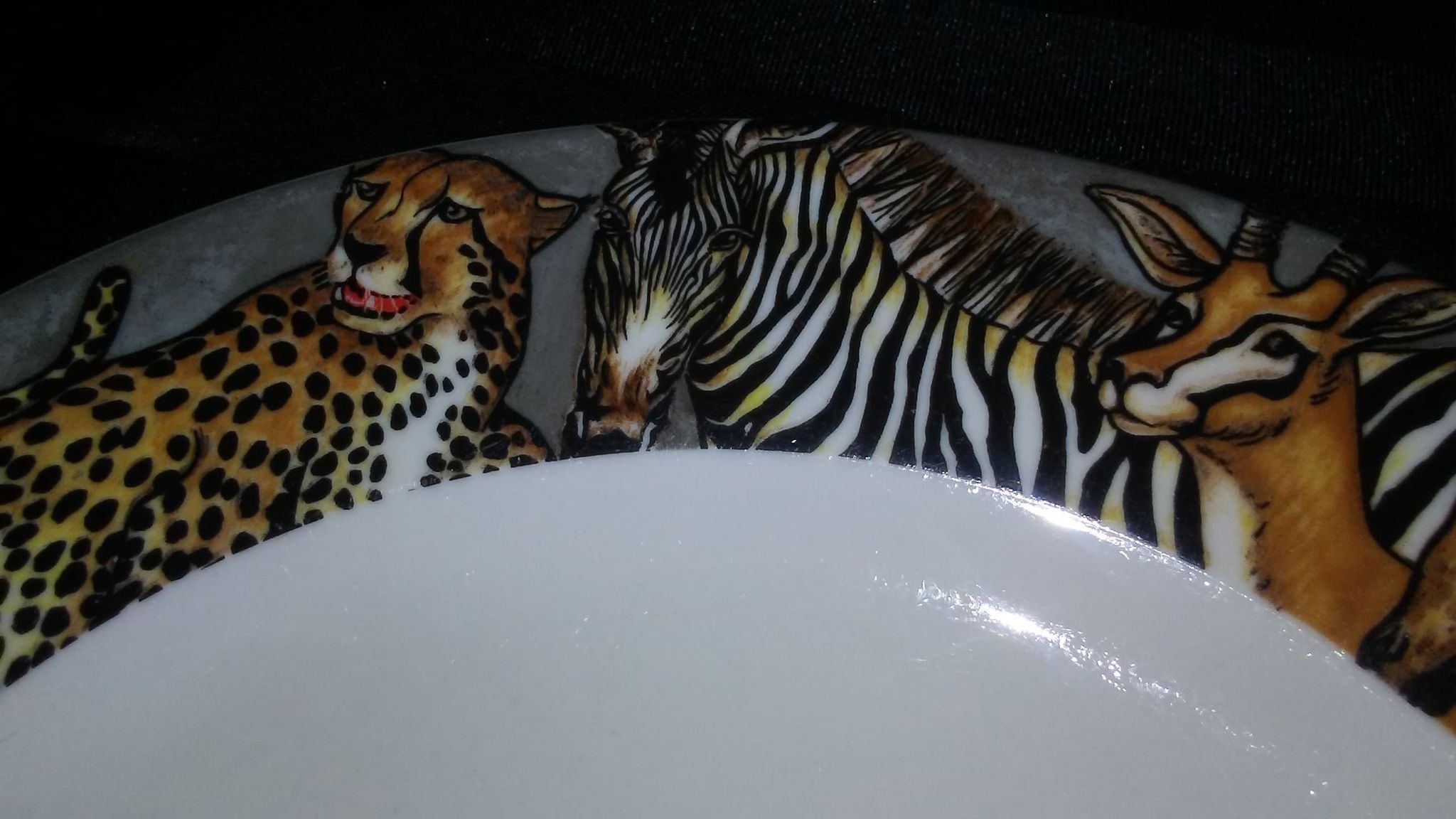 Animal Print Dinner Plates and Napkins - Set of 4 - photo 3